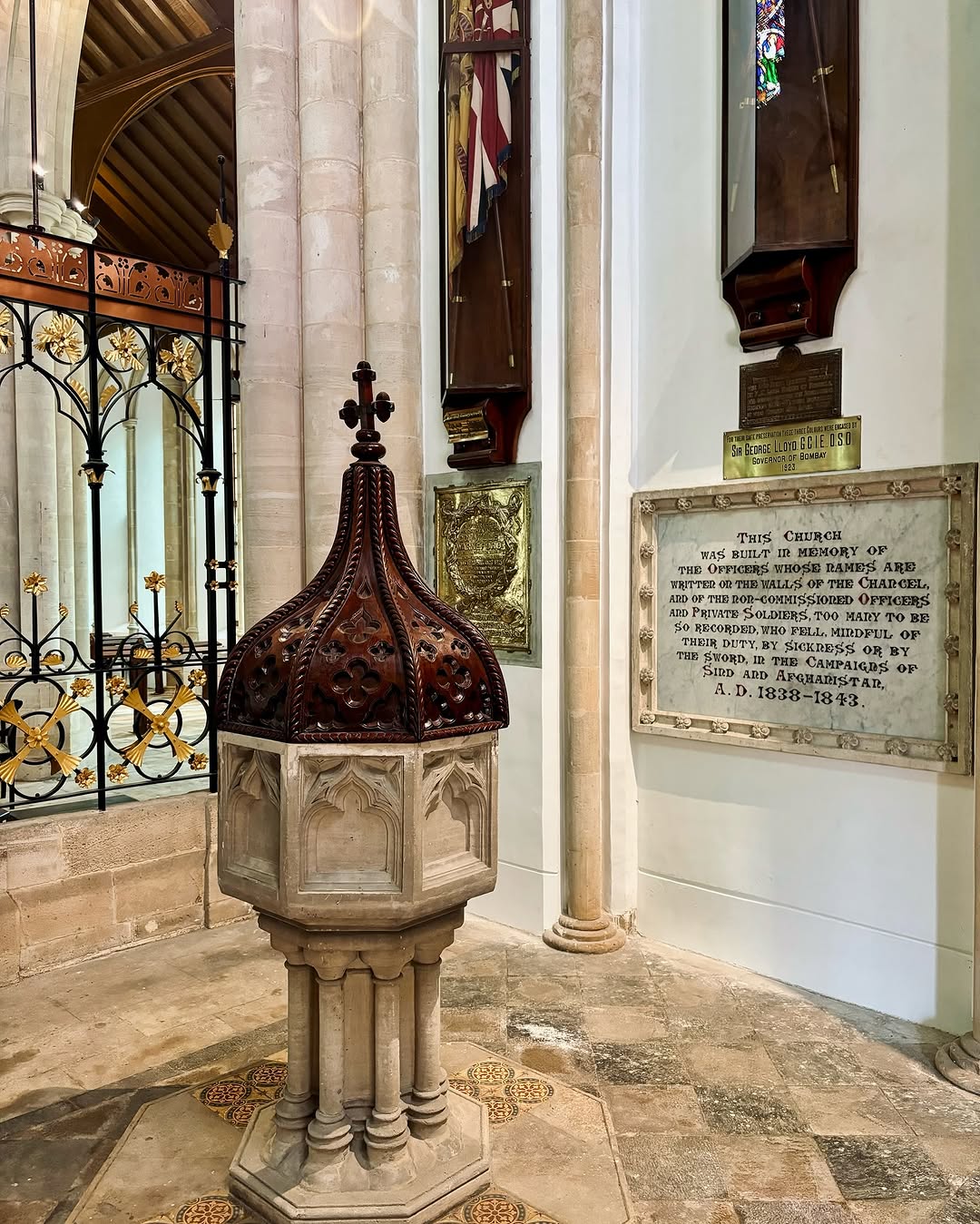Big tree in front of huge mountain