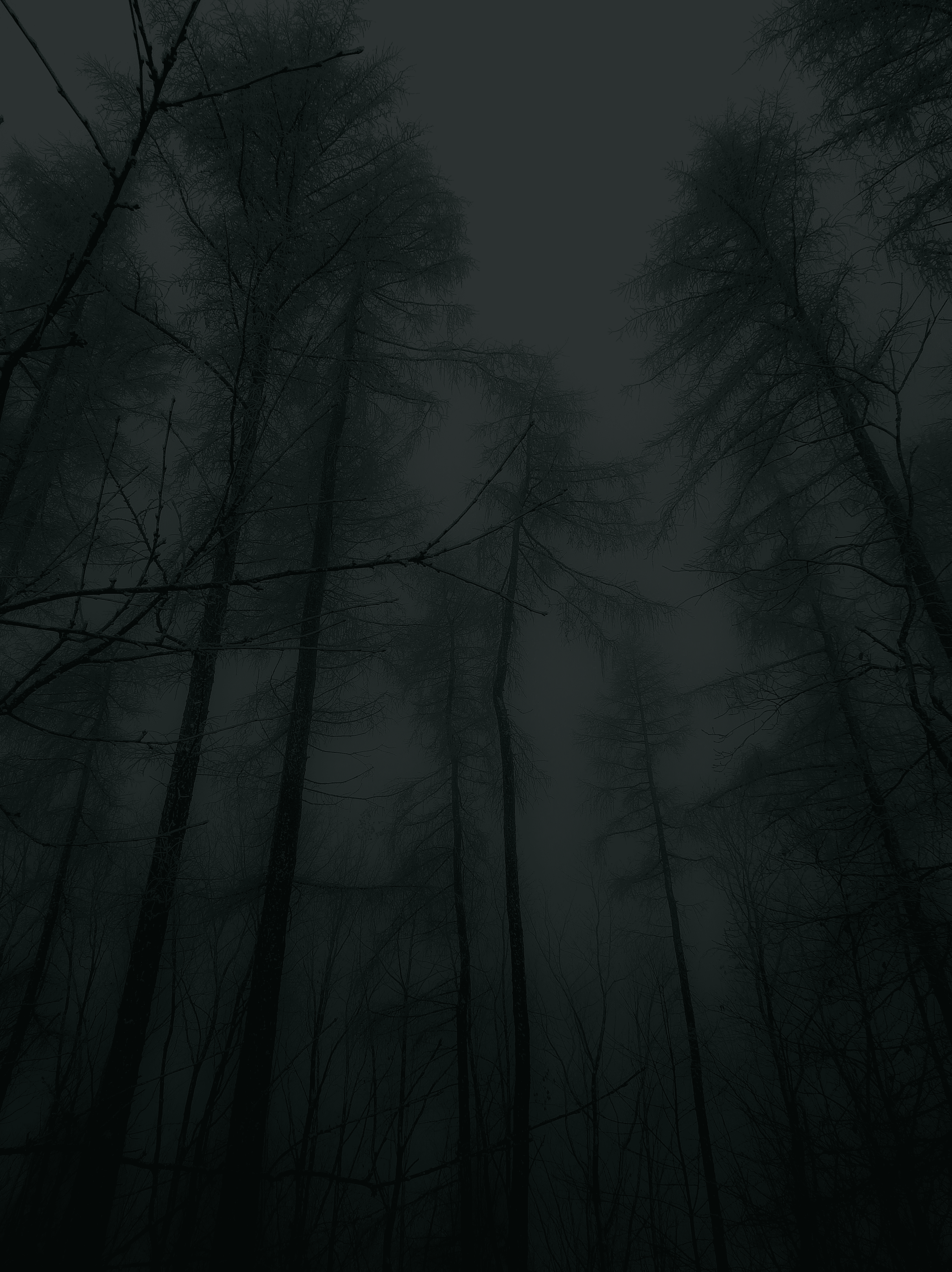 Uploaded image