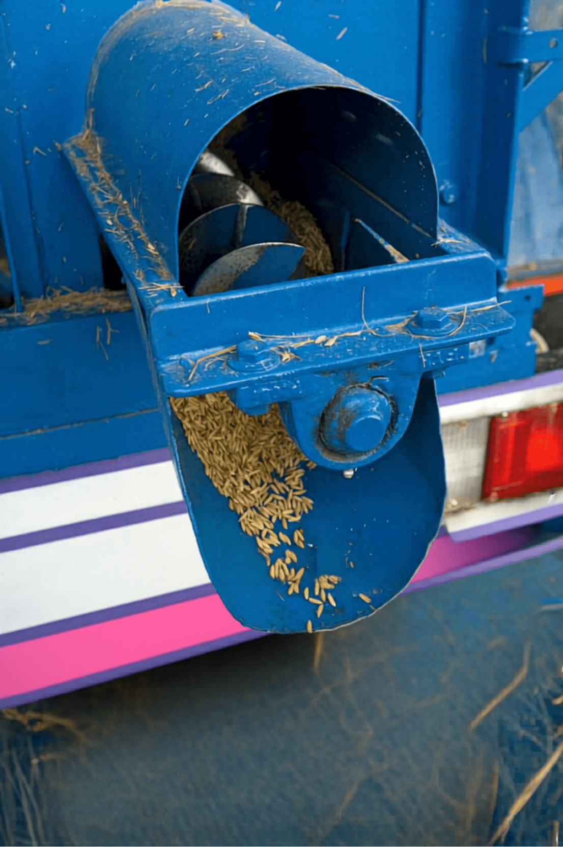 Rice Husk 