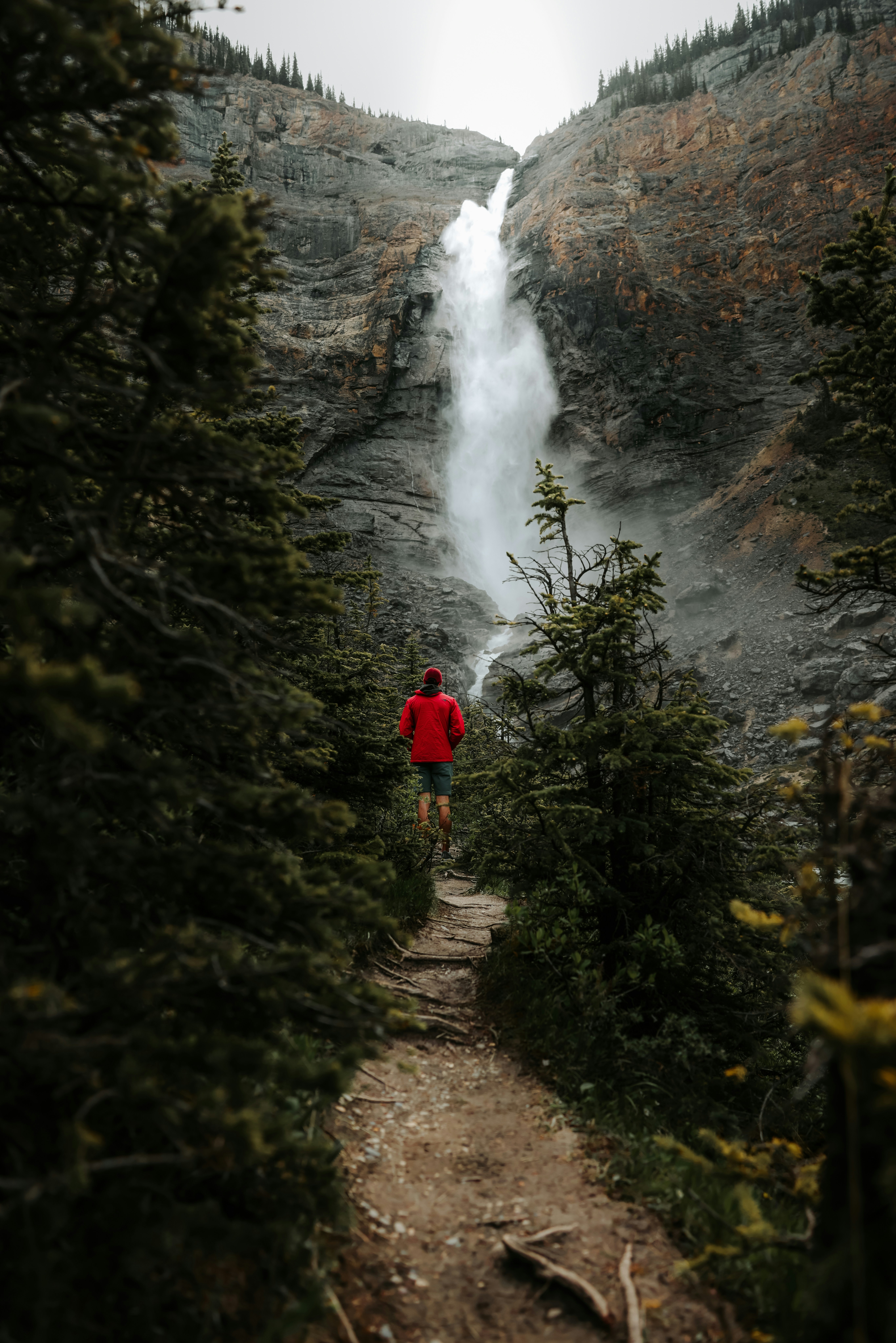 Person walks towards a tall waterfall in a forest.