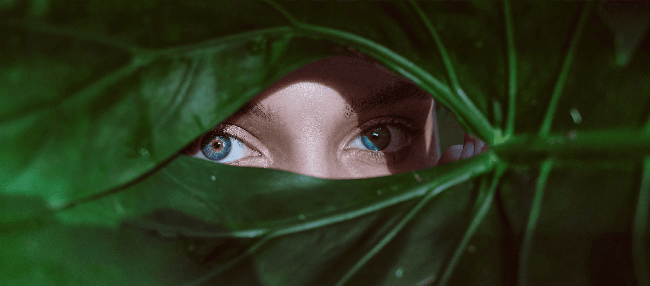 Close-up portrait of blue eyes through tropical leaves – Eye Health Clinic Zürich, Augenarztpraxis Dr. med. Ania Porazinski Quinter