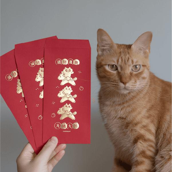 Close-up of evergreen foliage, showcasing vibrant green needles densely packed together.