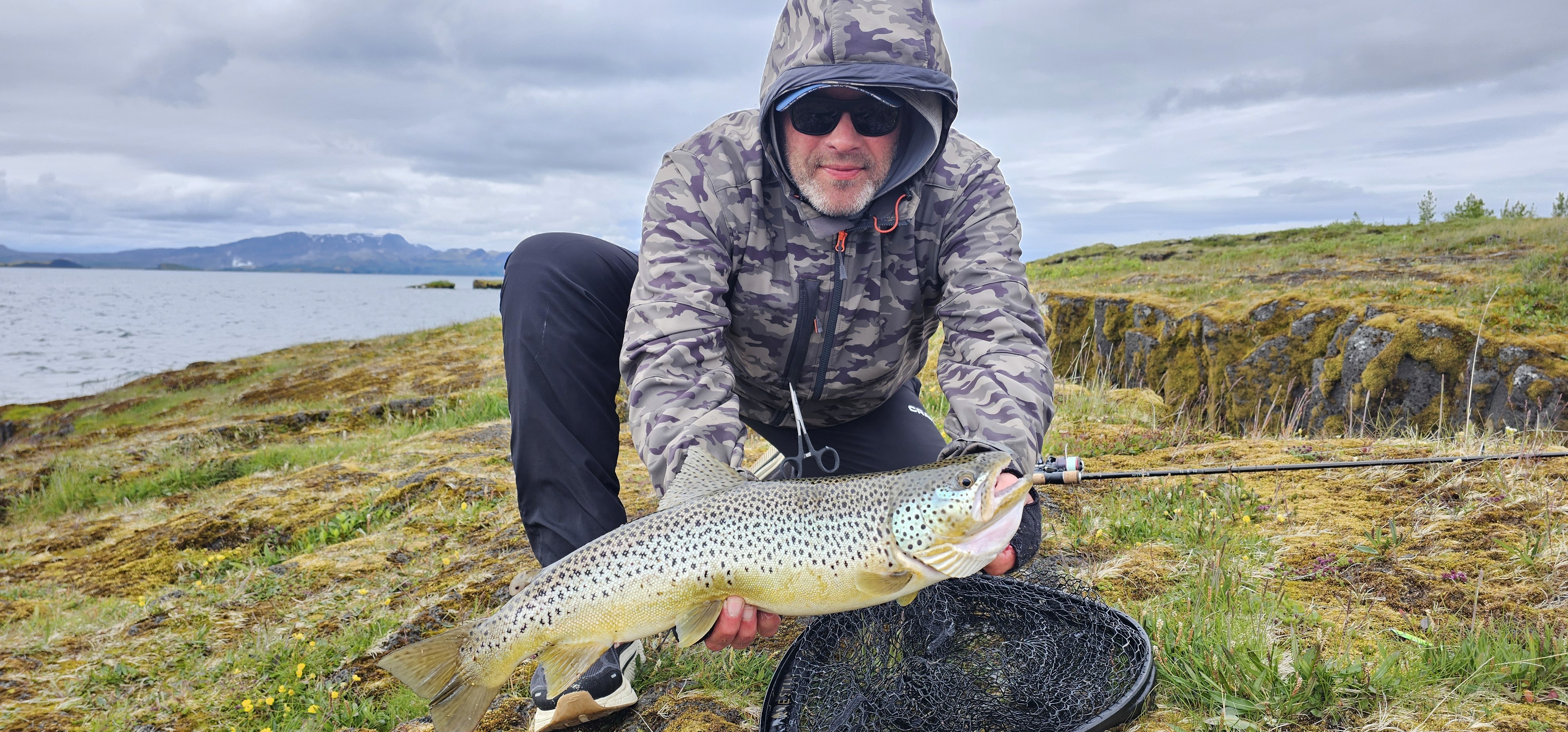 Island, Brown Trout, Arctic char, fjeldørred