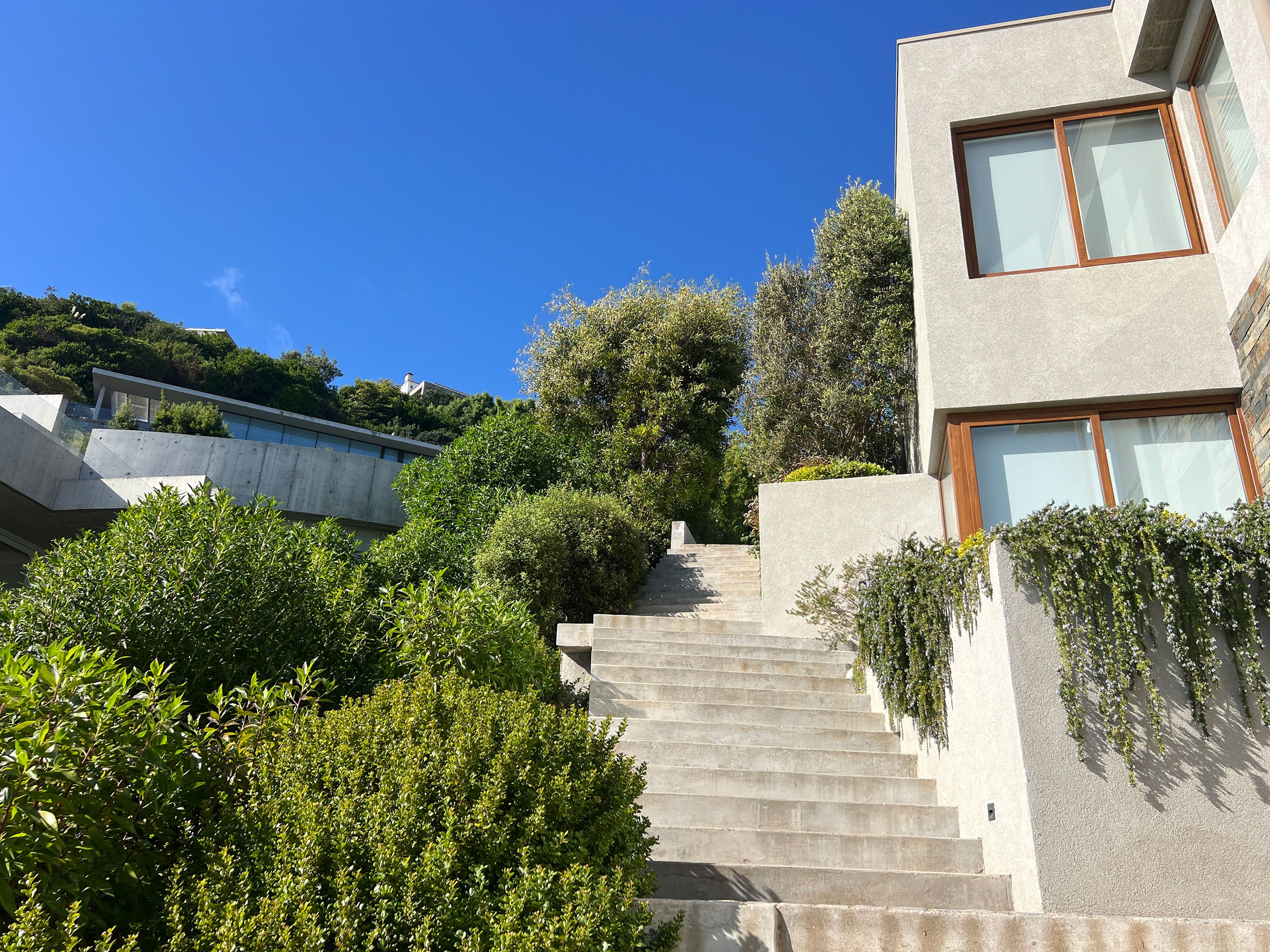 Carola Page Punta Pite Casa Nico