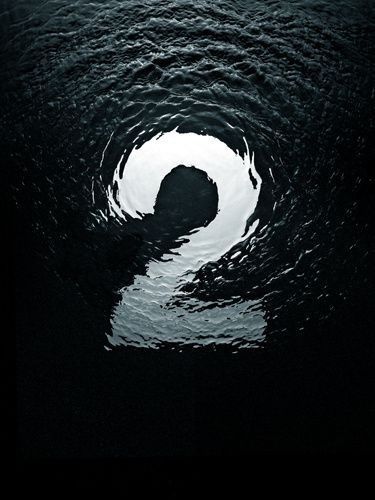 a blue and white fish