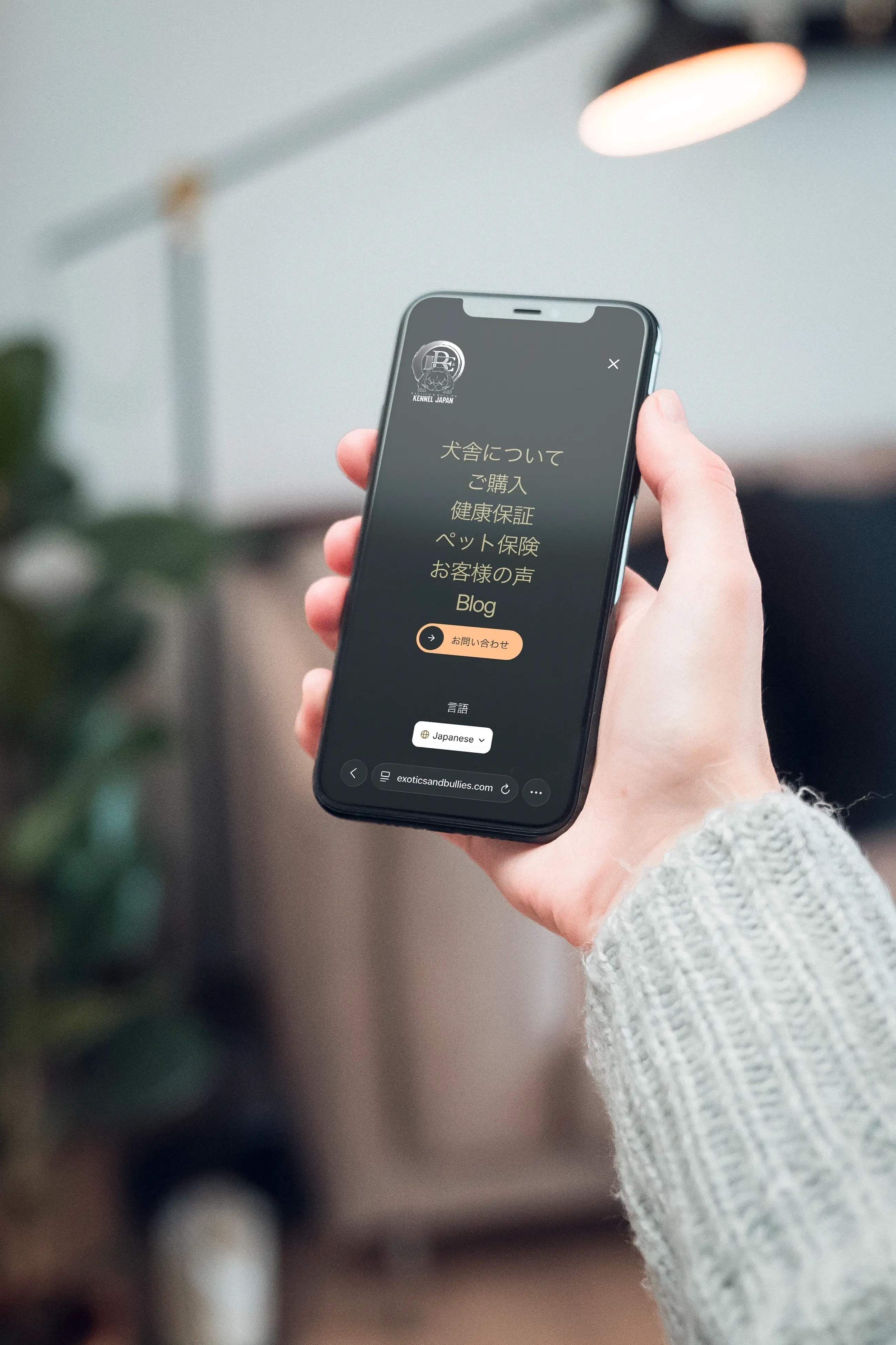 Pessoa segurando um smartphone com o website da Exotics & Bullies Kennel Japan aberto na versão em japonês