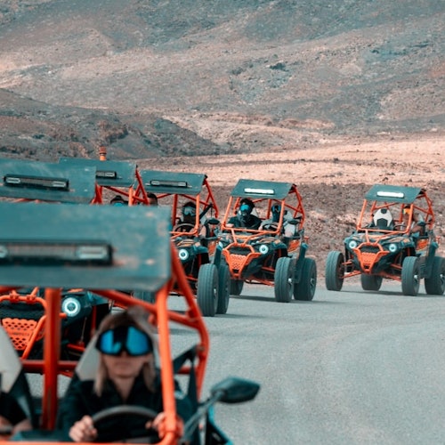 富埃特文图拉:科拉雷霍哈迪亚自然公园及小港口全地形车导览之旅门票