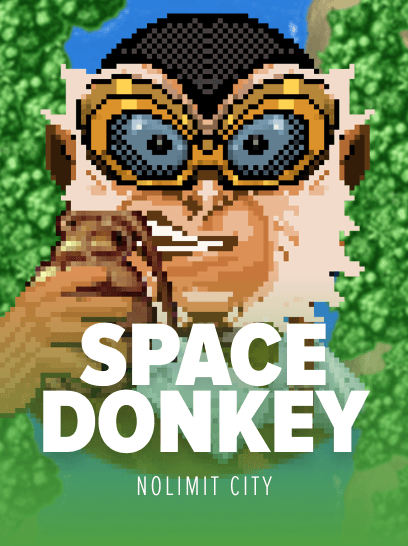Space Donkey - cover