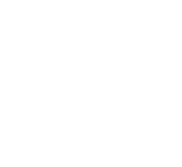 N logo