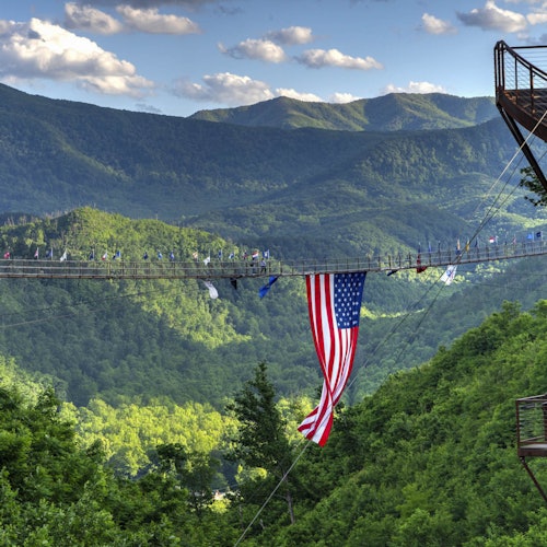 גשר תלוי עם דגל אמריקאי תלוי, חוצה עמק מיוער ירוק עם נופים של הרים ברקע.