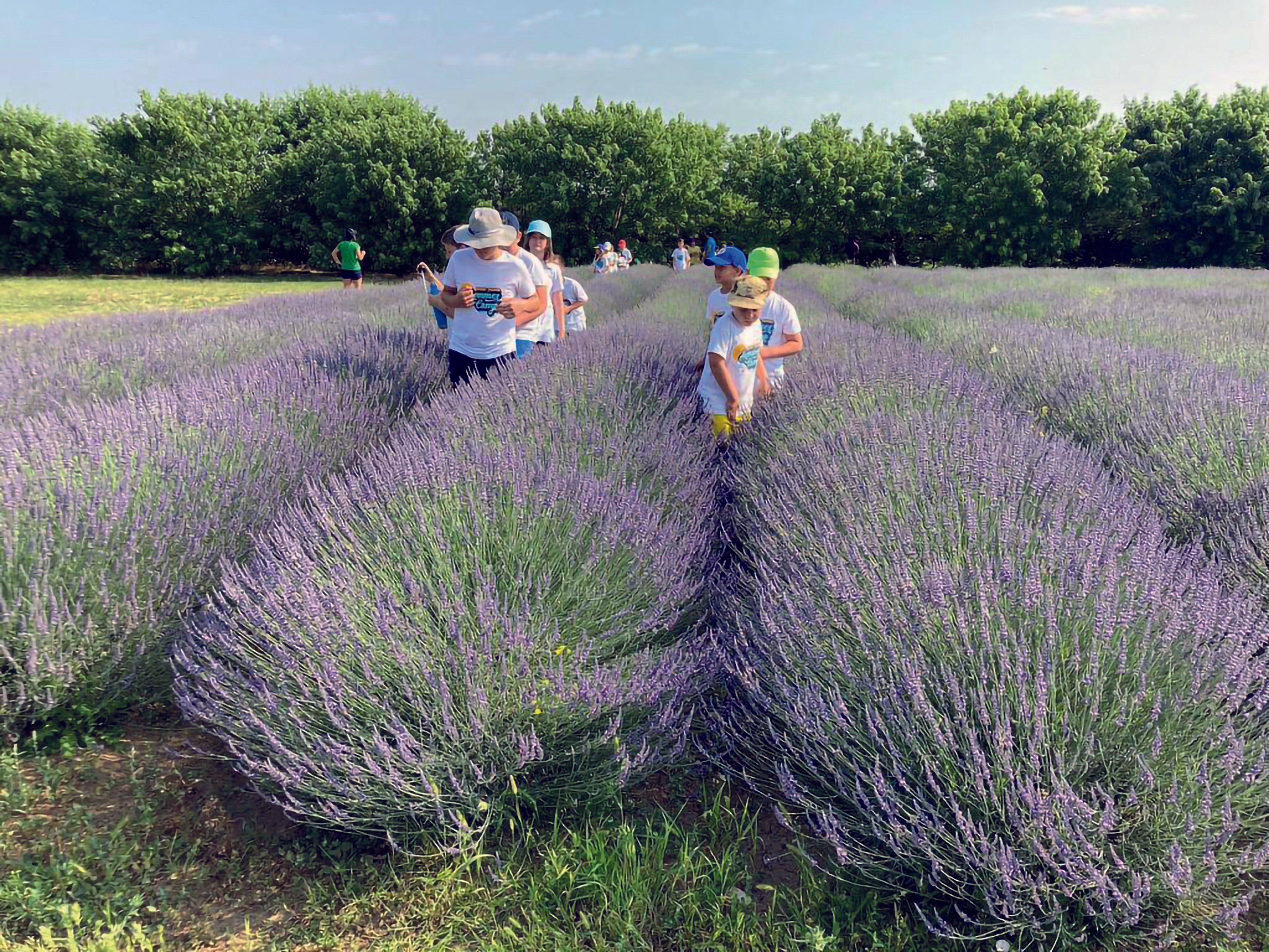 Rugby Parma Summer Camp