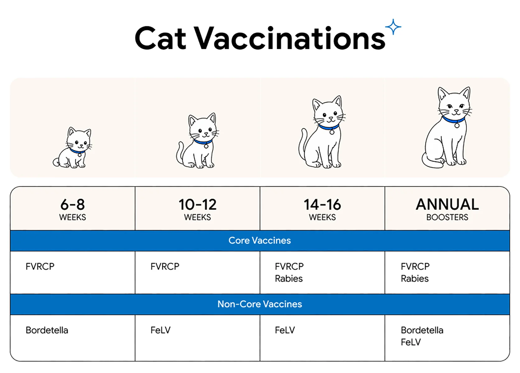 An infographic displaying the vaccination schedule for cats in all life stages.