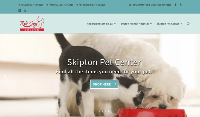 How_to_use_CTAs_to_optimize_conversion_rates_on_Shopify