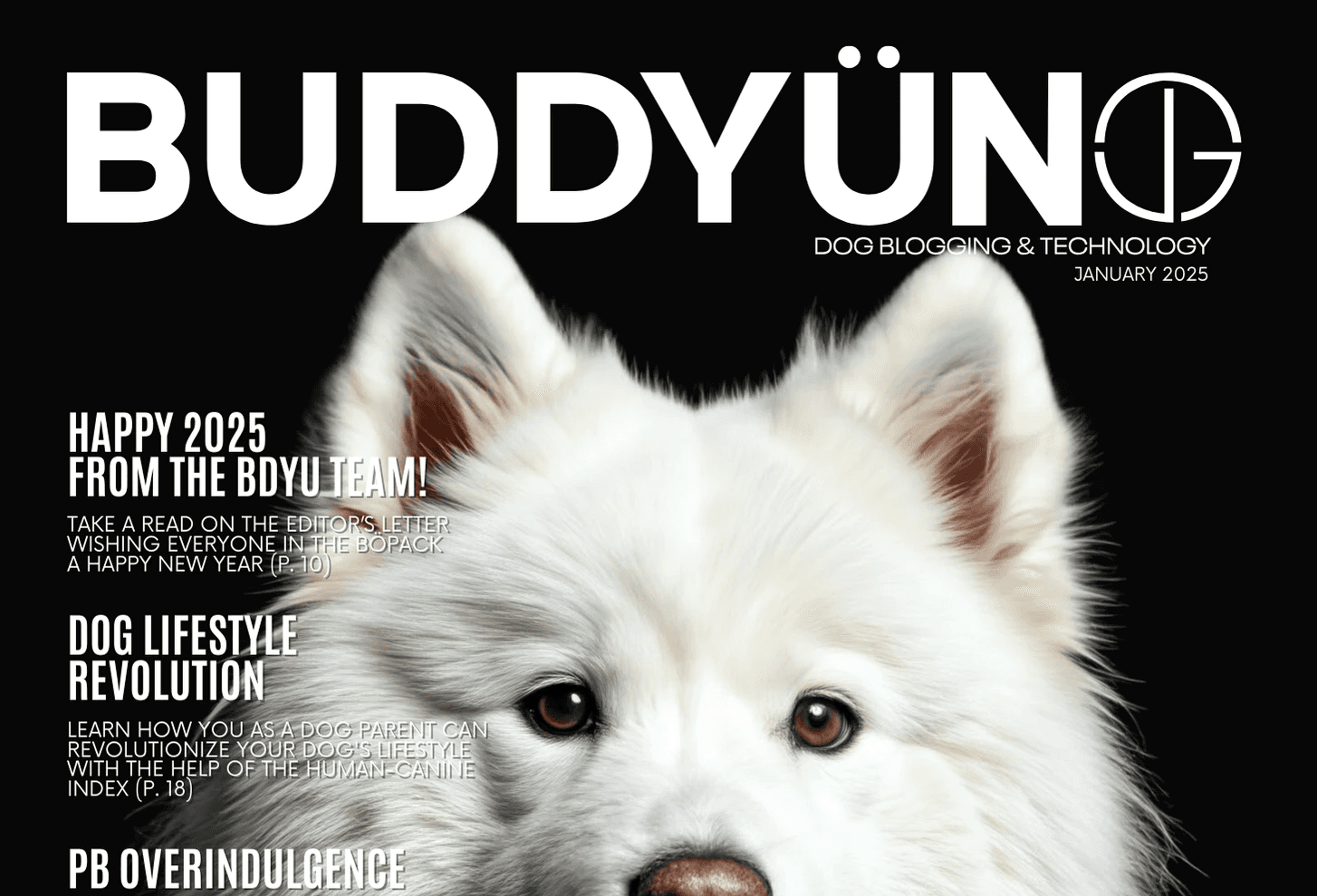 buddyuno magazine - preview cover