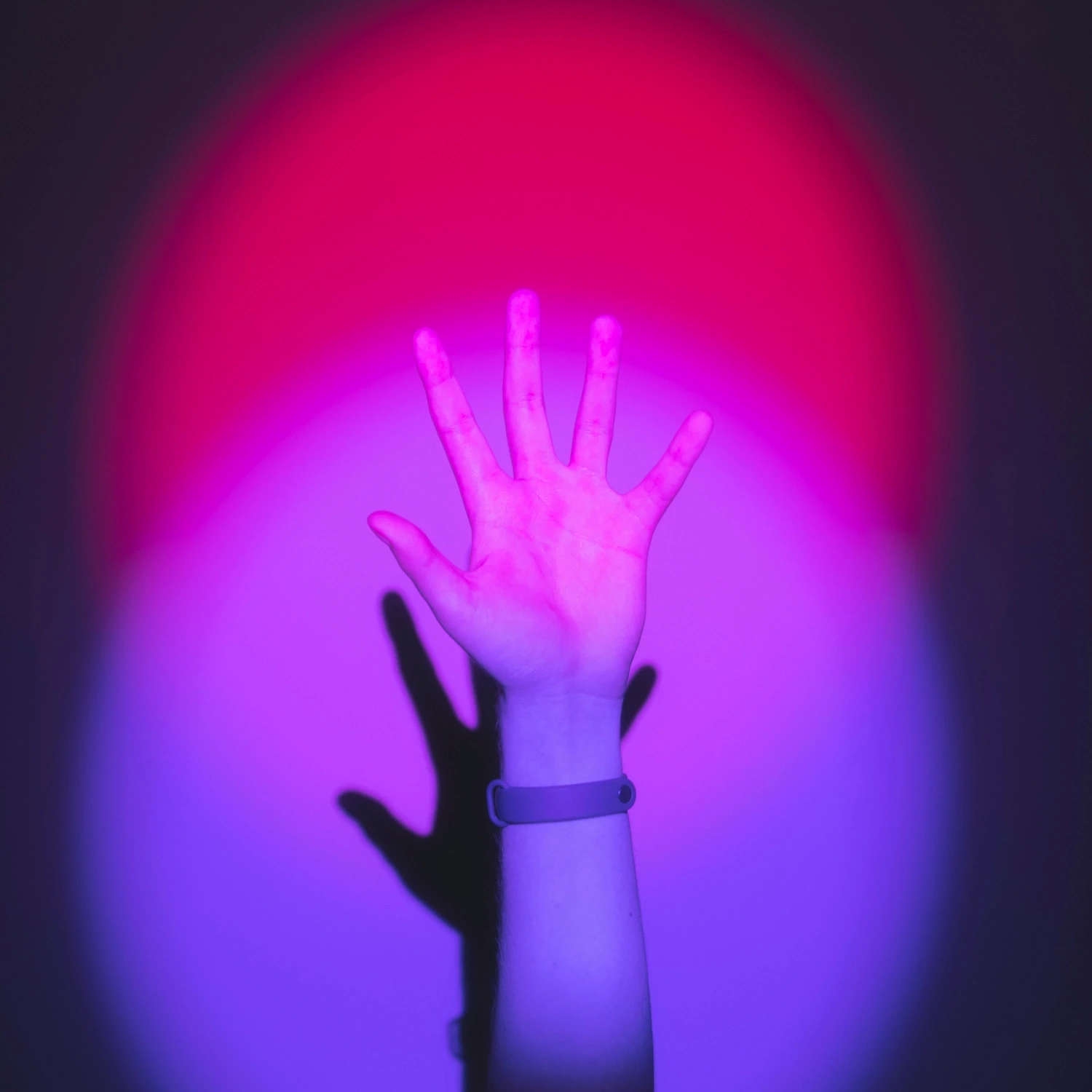 Hand raised against pink, purple, and blue light symbolizing bisexual pride and affirming therapy support in NYC