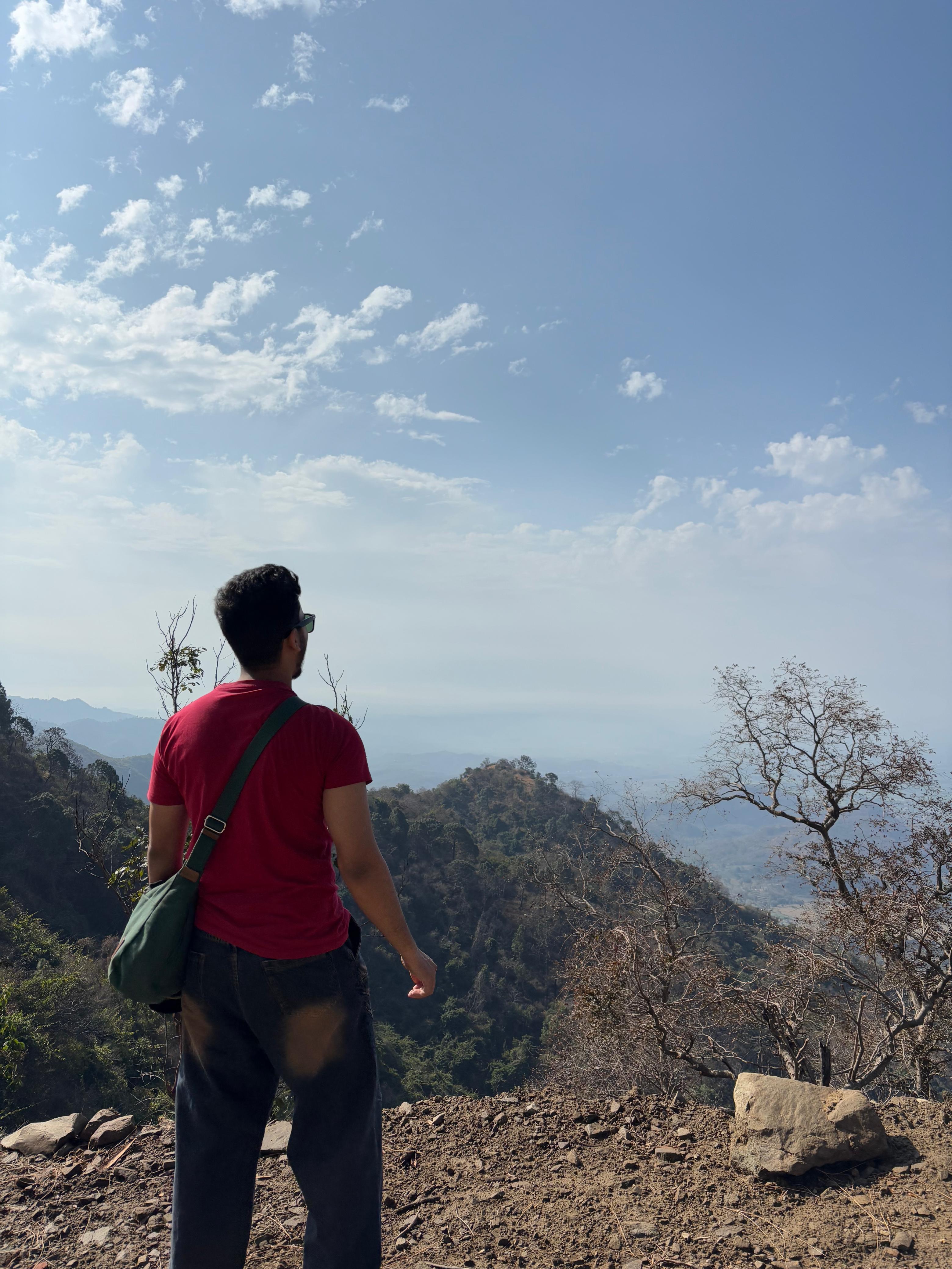 Vintage Car Under Palm Trees