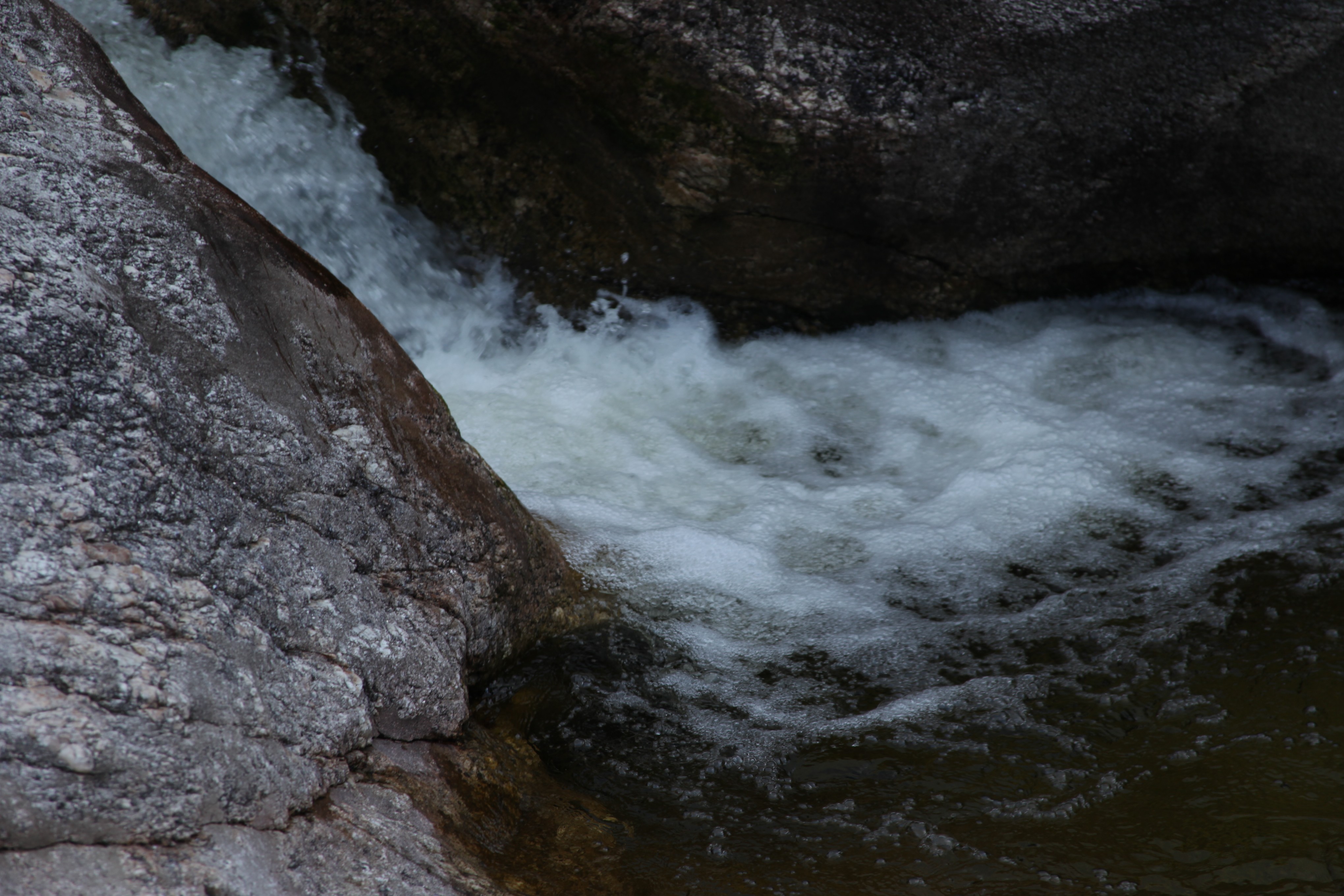 person sitting on grass and using phone