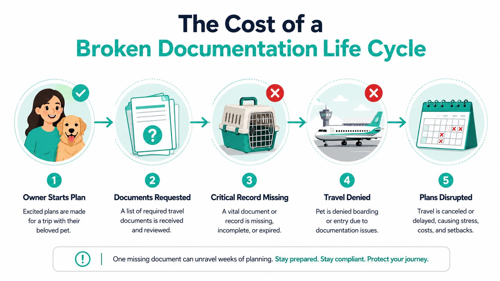 An infographic illustrating the five steps of a broken pet travel documentation life cycle causing trip disruptions.