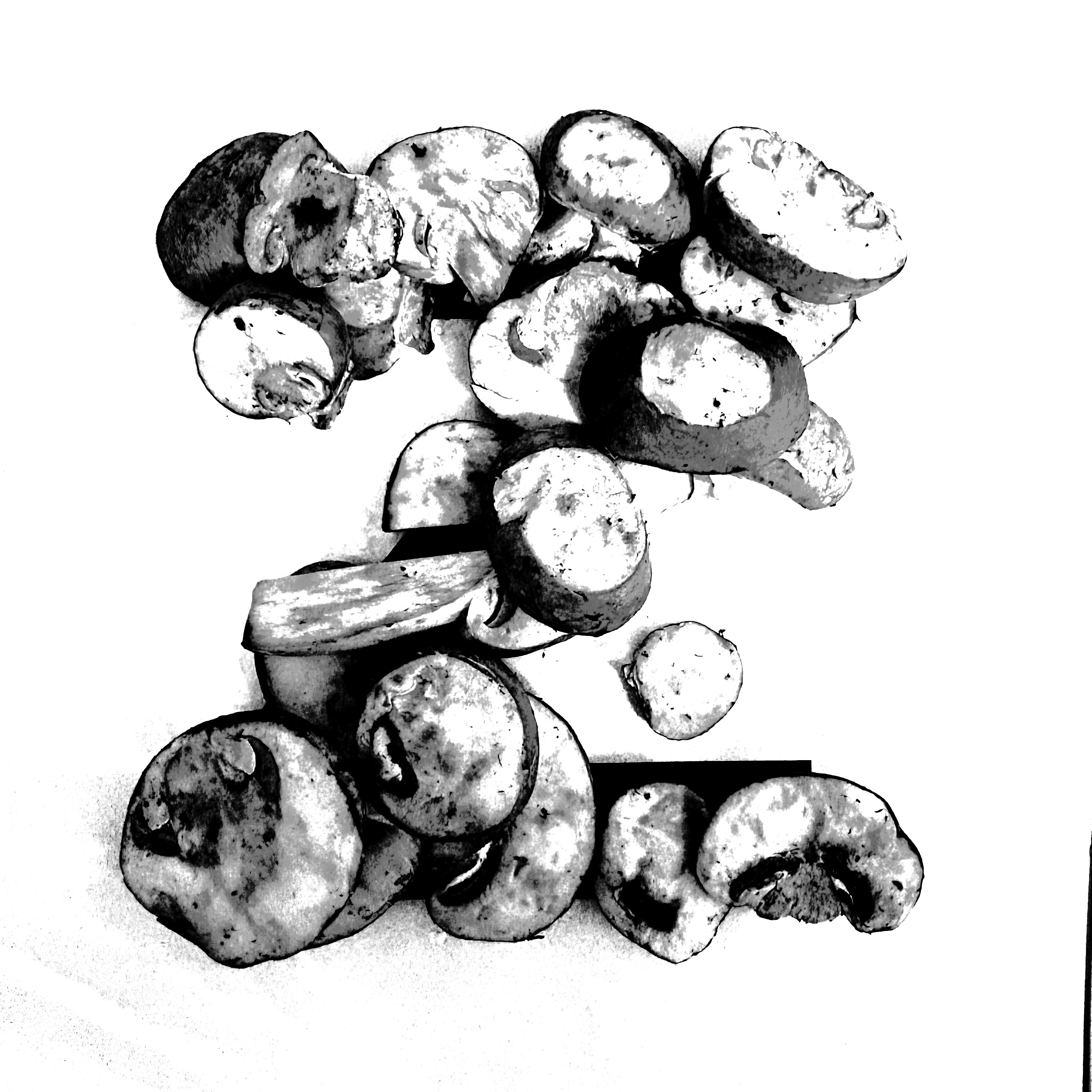Mushroom