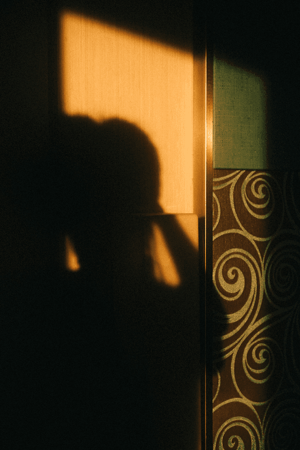 Abstract silhouette shadow illuminated by golden-hour sunlight on a textured interior wall, showcasing atmospheric lighting, modern interior design, and artistic home decor.