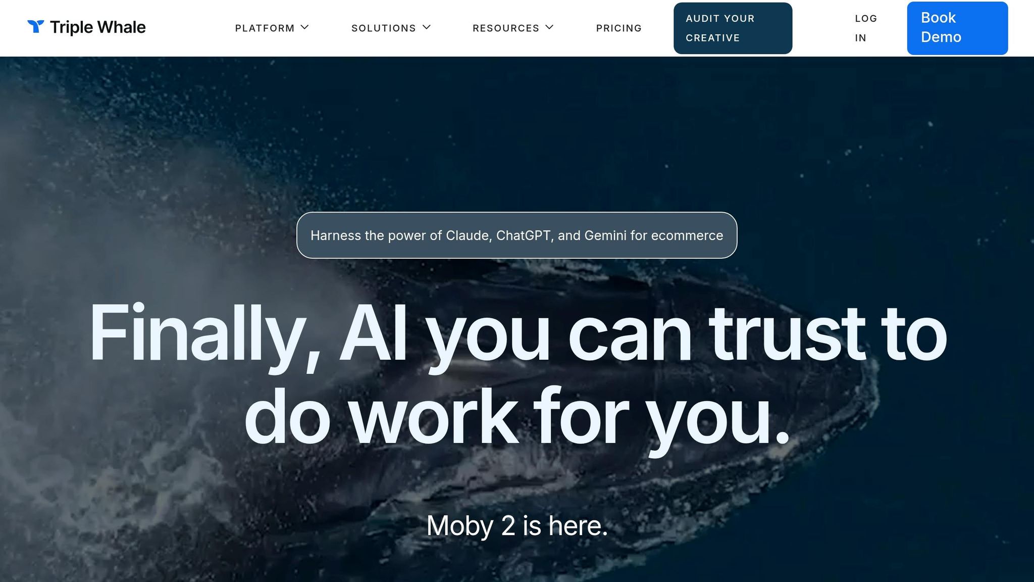 Triple Whale