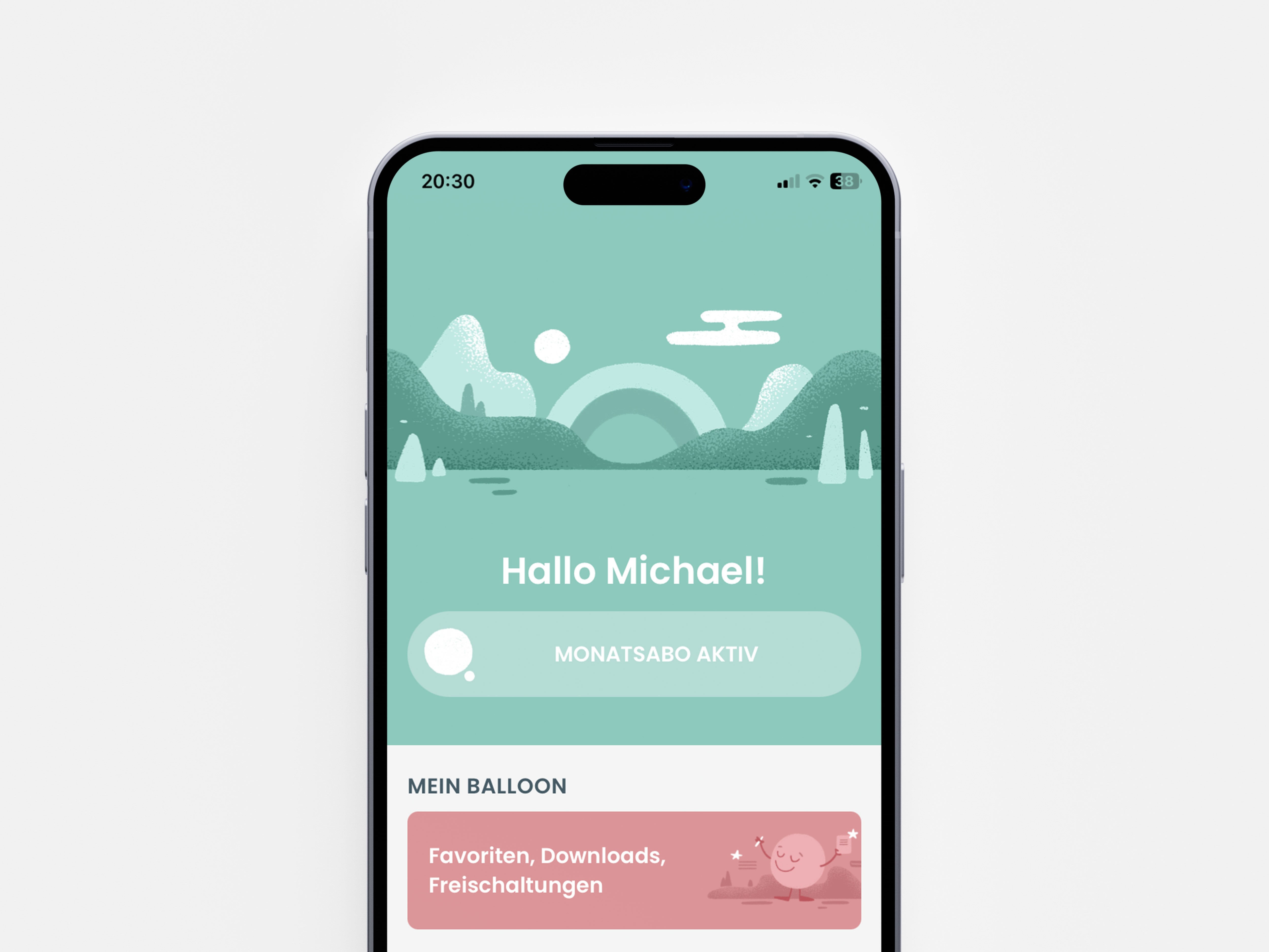 Project Gallery Image for 50% width of the screen #2