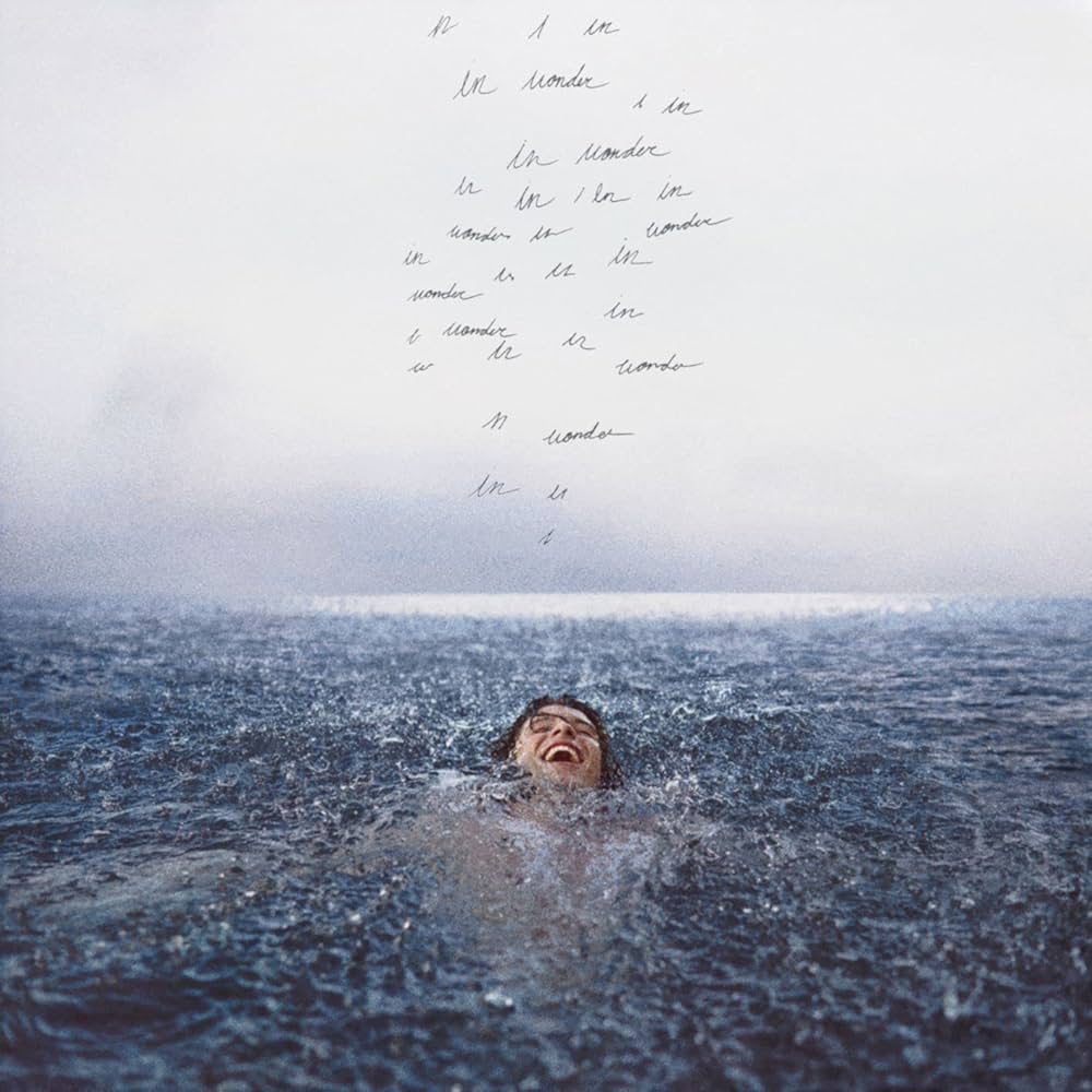 A person floats in calm water beneath a cloudy sky, with birds flying above them, creating a serene atmosphere.