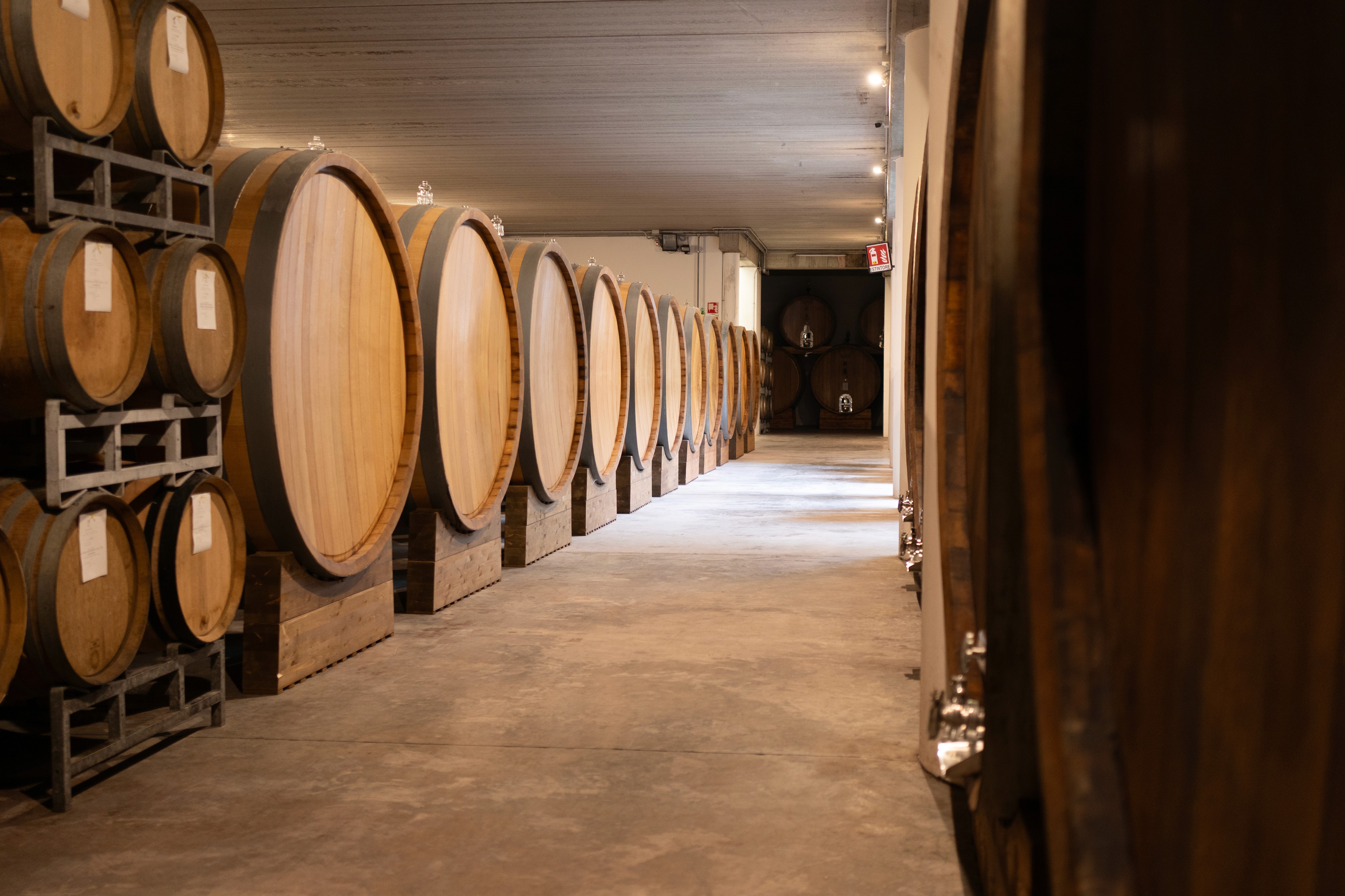 Rows of wooden barrels in a wine cellar, storage area for quality wines.