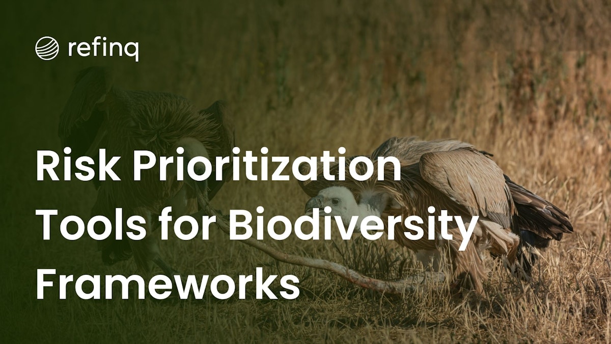 Risk prioritization