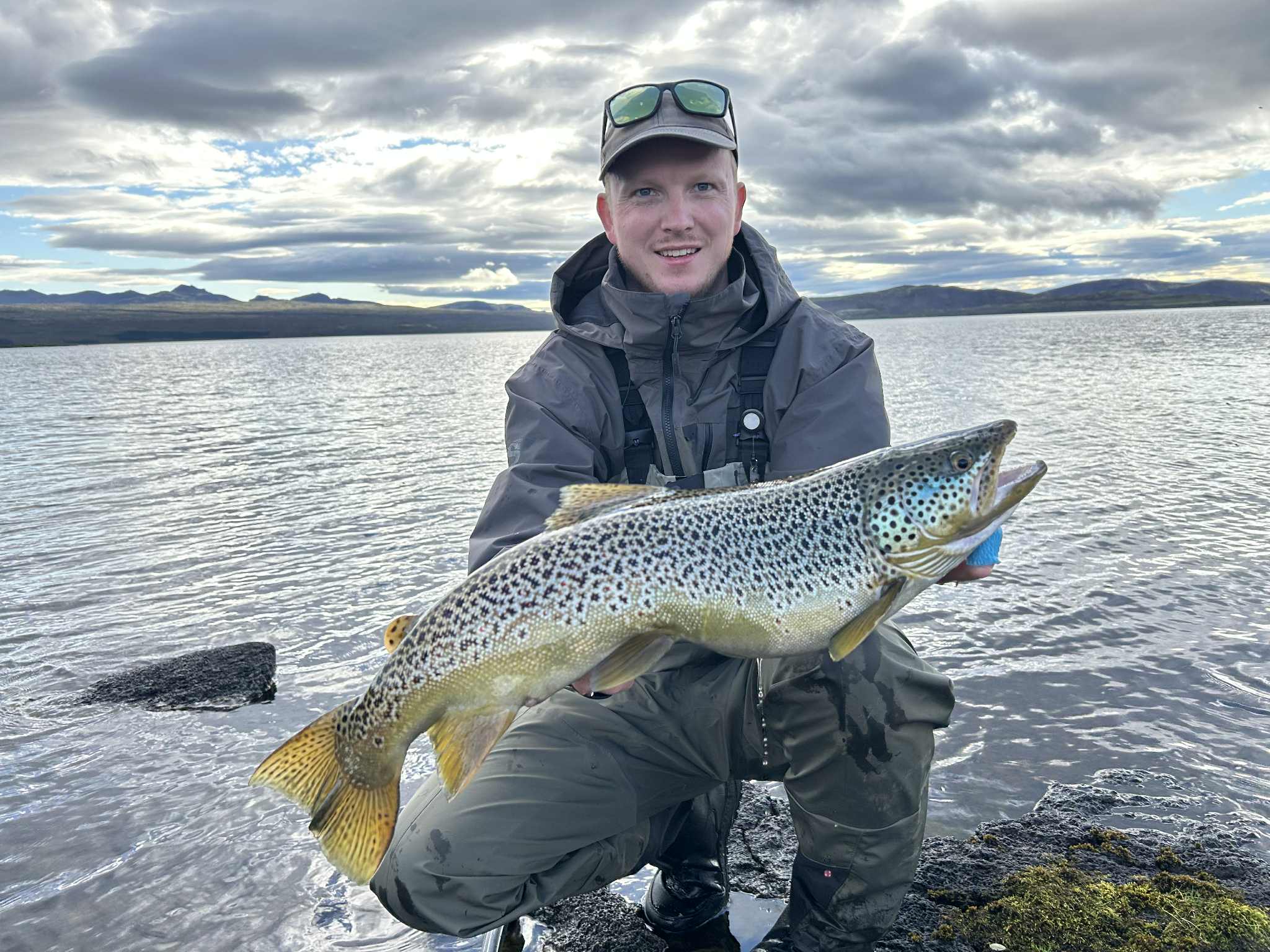Island, Brown Trout, Arctic char, fjeldørred
