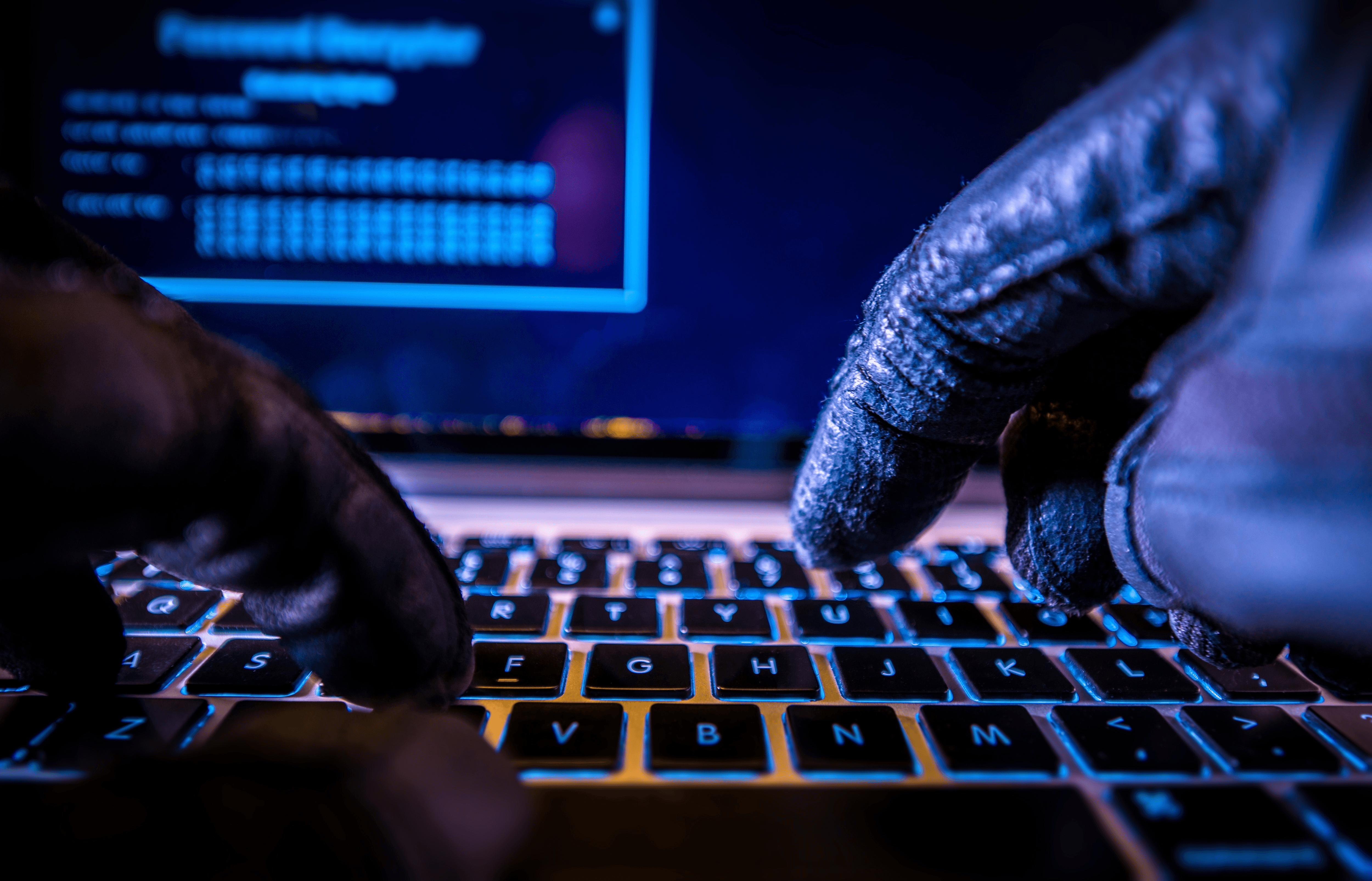 dark web monitoring