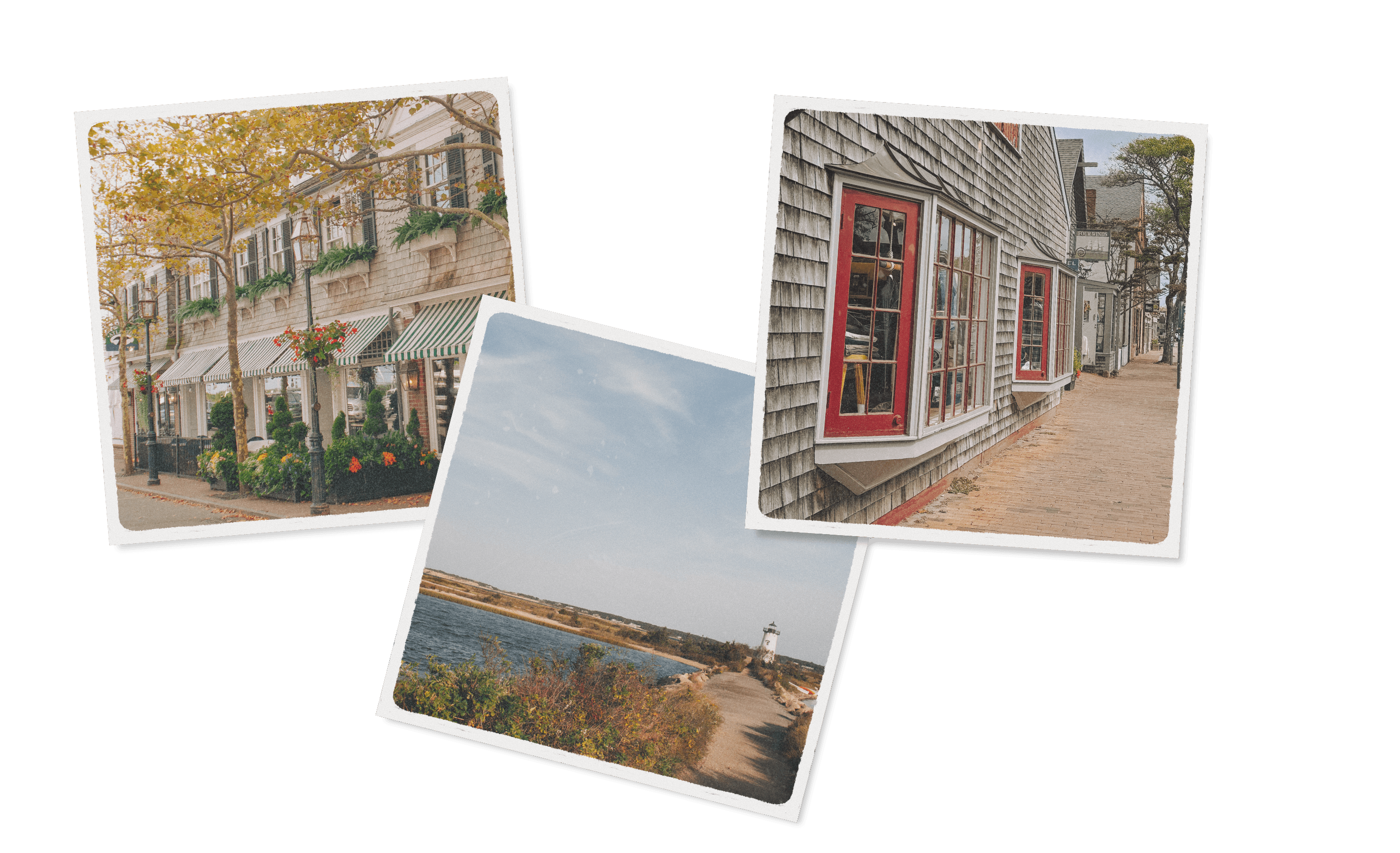 A luxurious bathtub with water and rose petals in it.