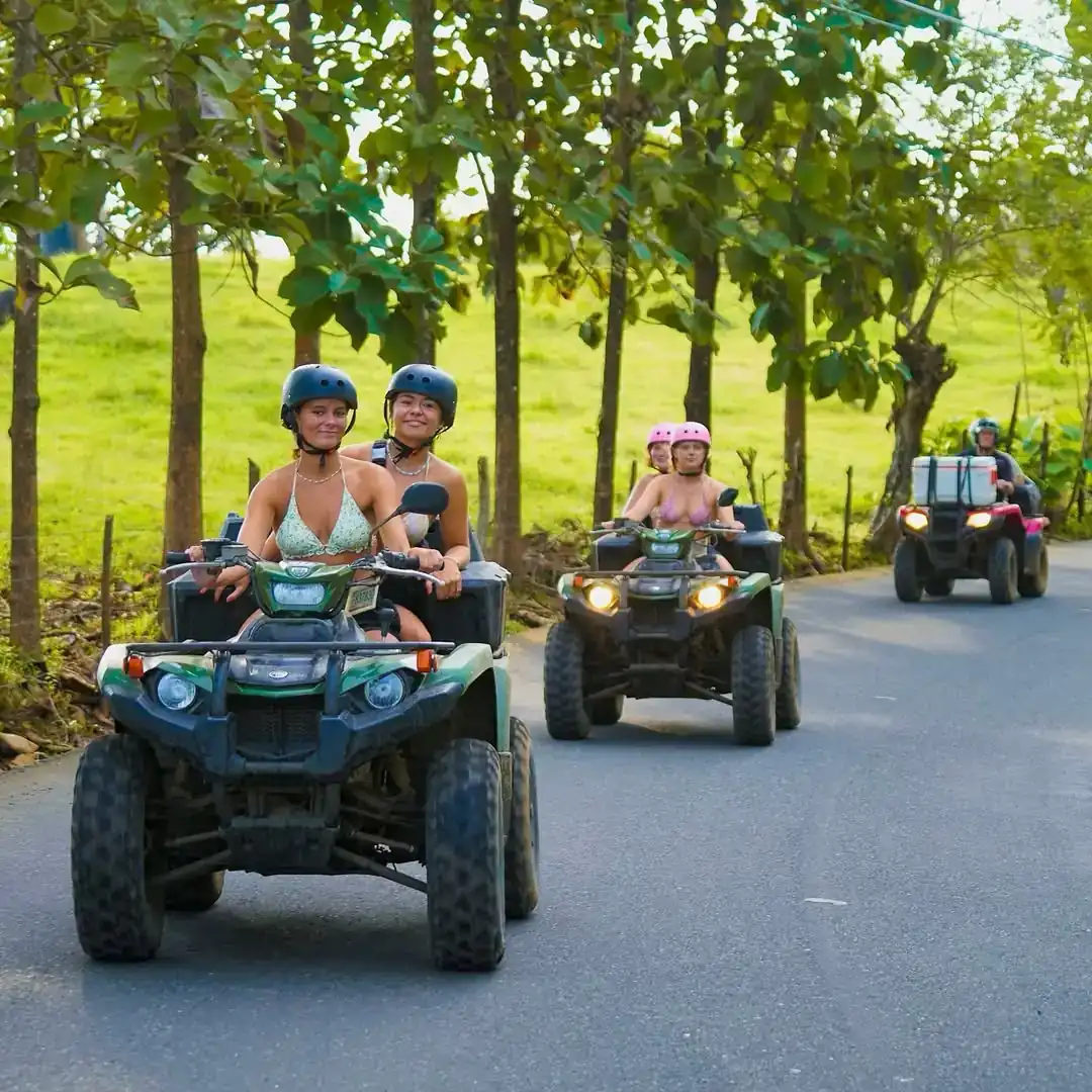 a black and white living room with a large tv