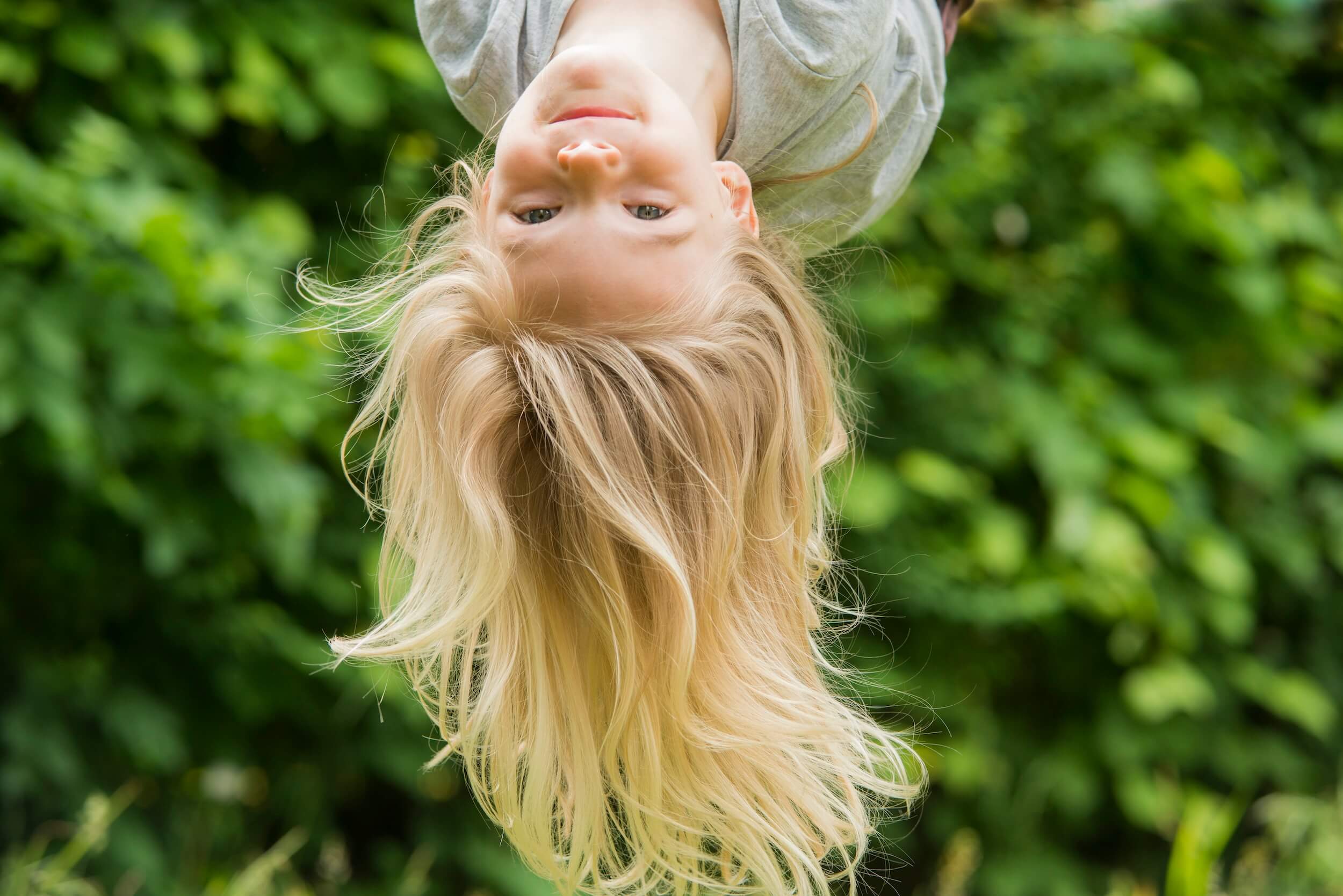 Rope bridge and wooden treehouse adventure park in a sunny forest setting.