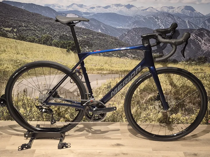 Scultura Endurance 4000