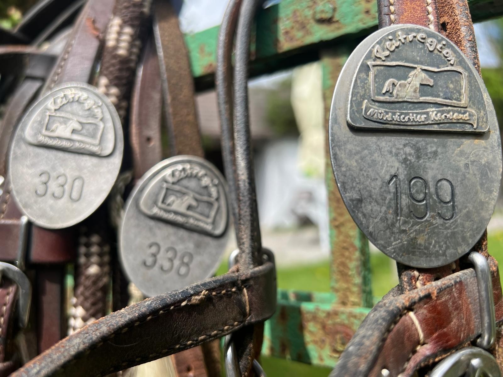 Pferde in Wanderreitausrüstung grasen auf einer Wiese neben ihren Reitern im Hochland. Im Hintergrund ein weiter Ausblick und Windmühlen.