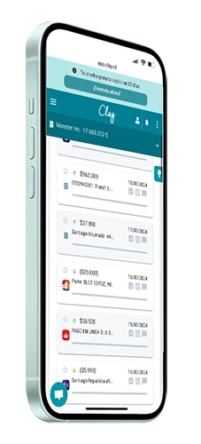 Software de conciliación bancaria automática