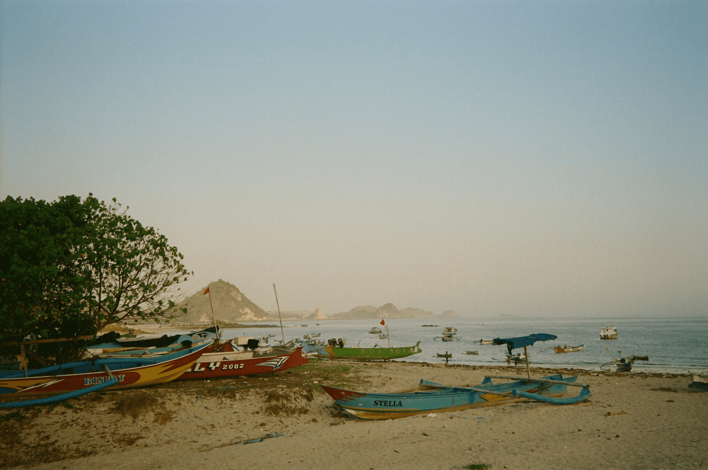 green trees and plants during daytime