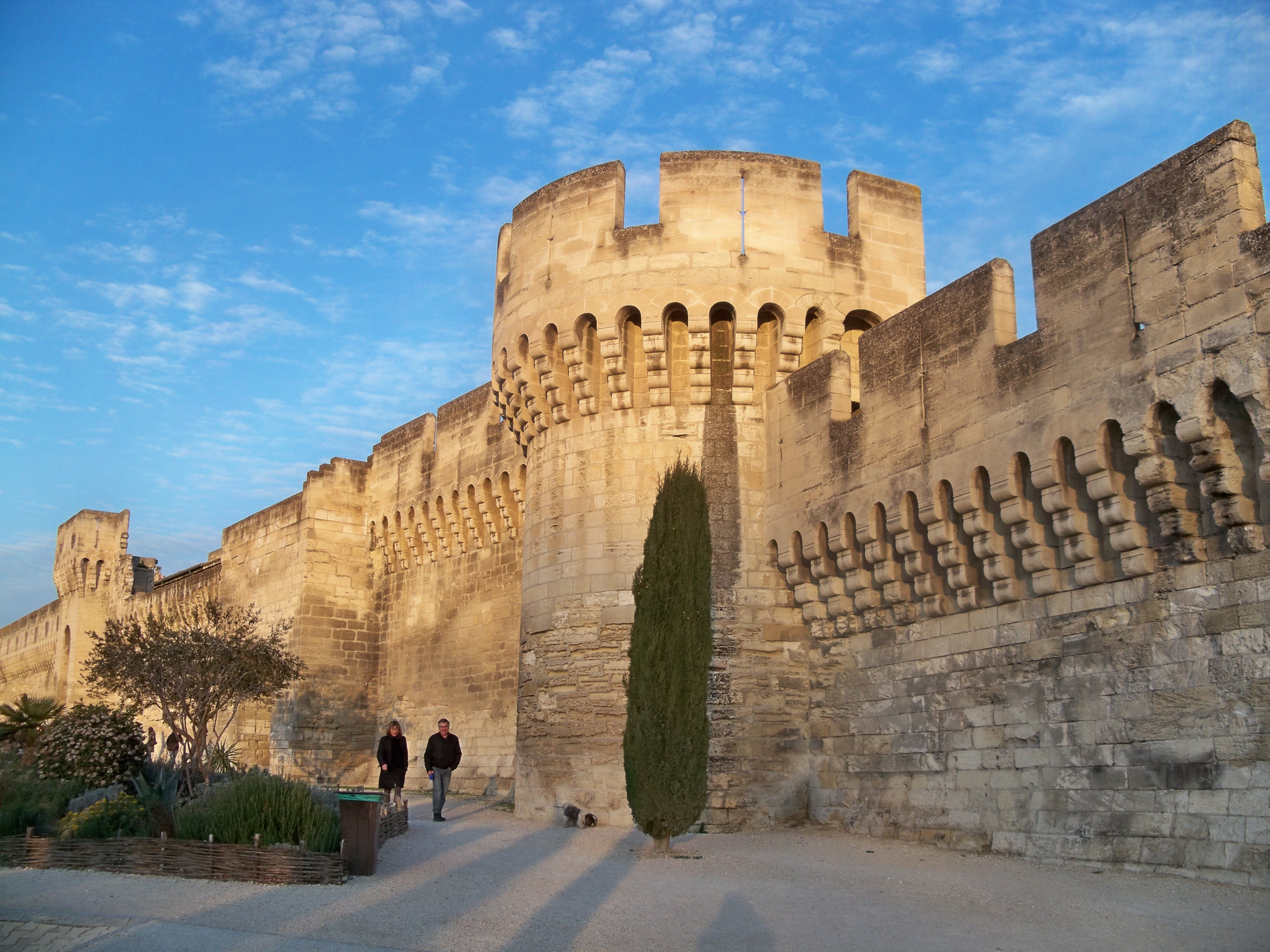 Formations à Avignon