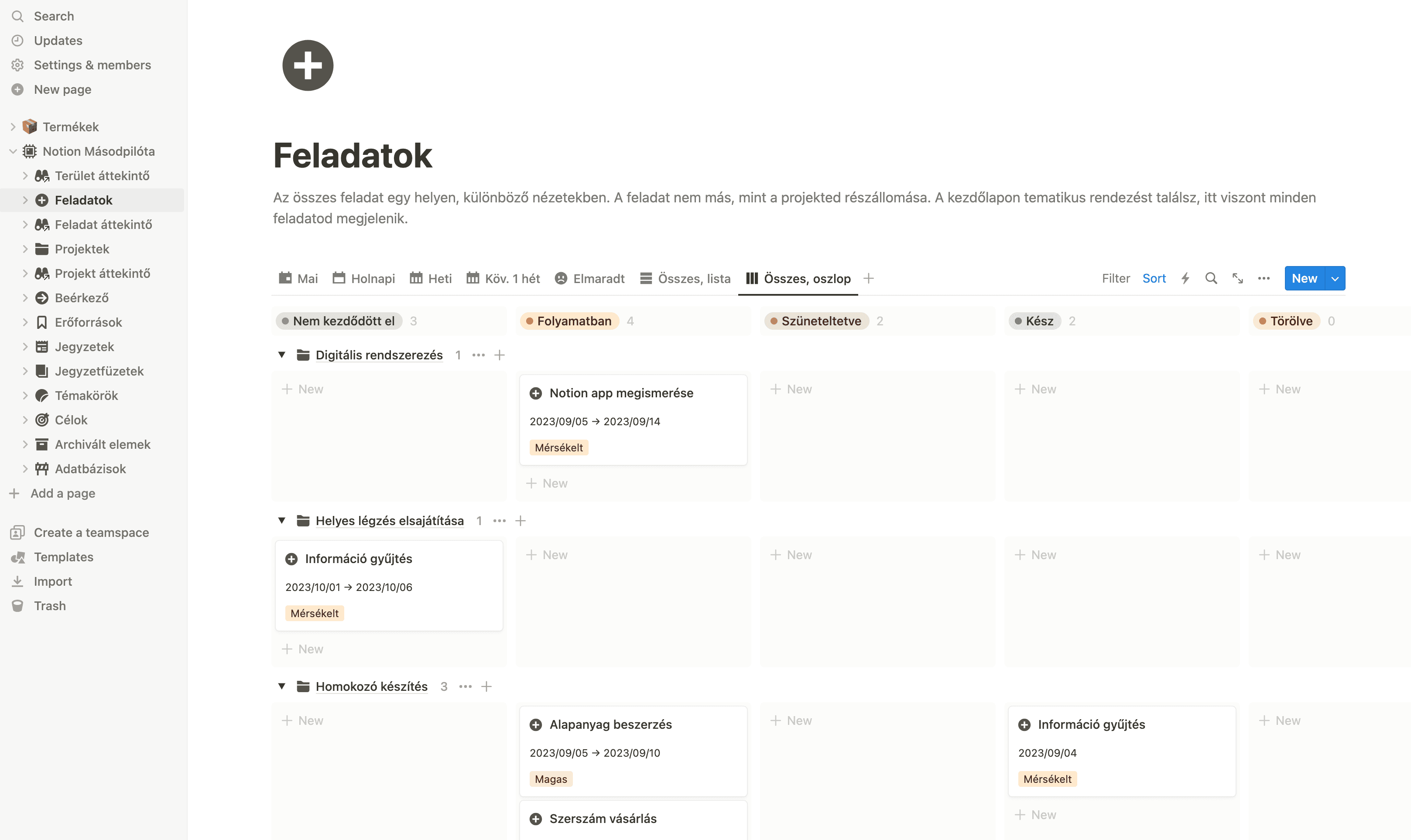 Feladatok a Másodpilóta, Notion sablonban.