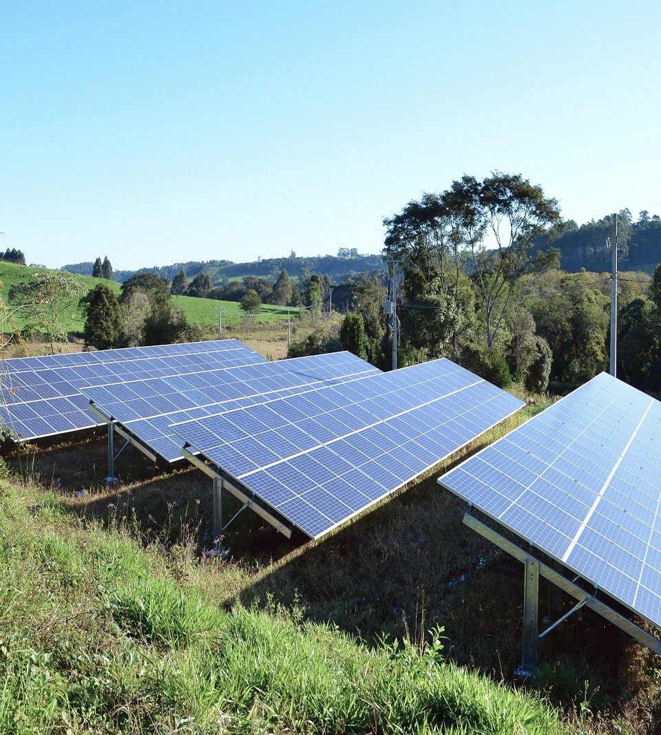 Why businesses choose ecolife