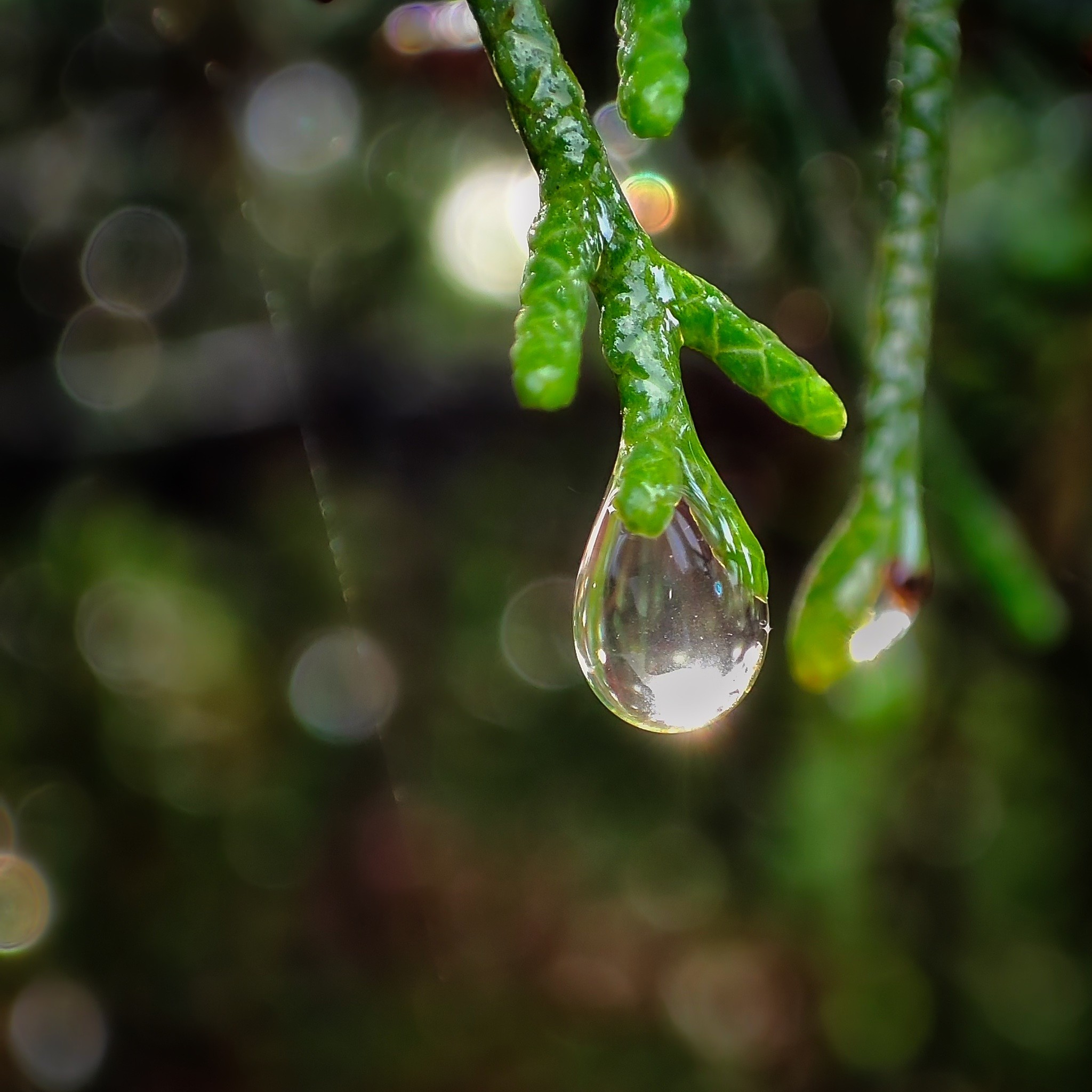 Mystischer Wassertropfen