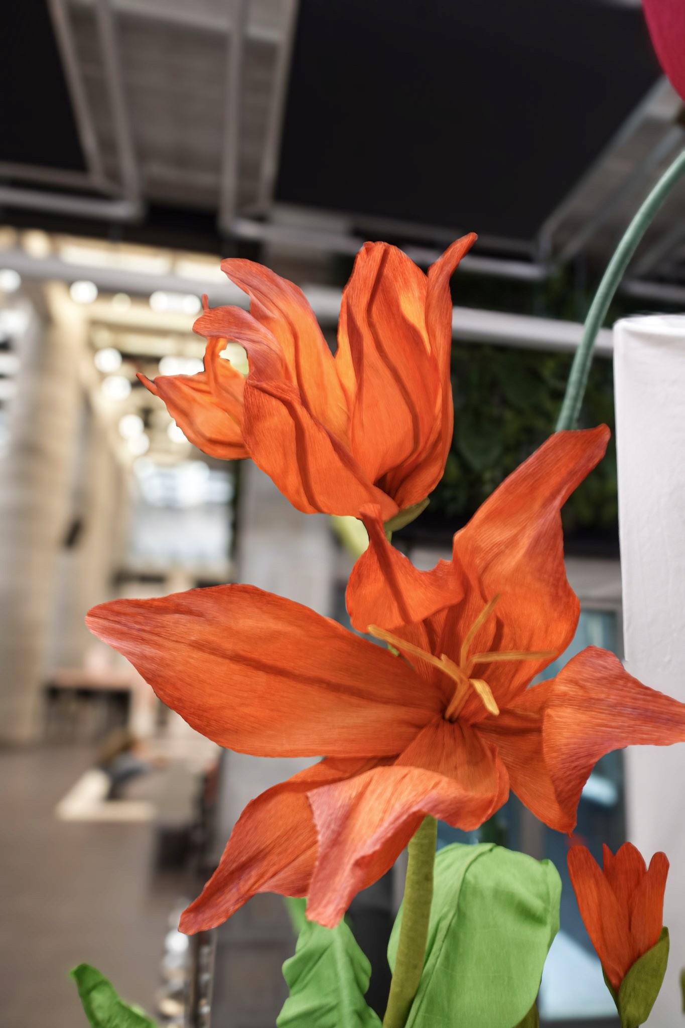 Flower detail 1