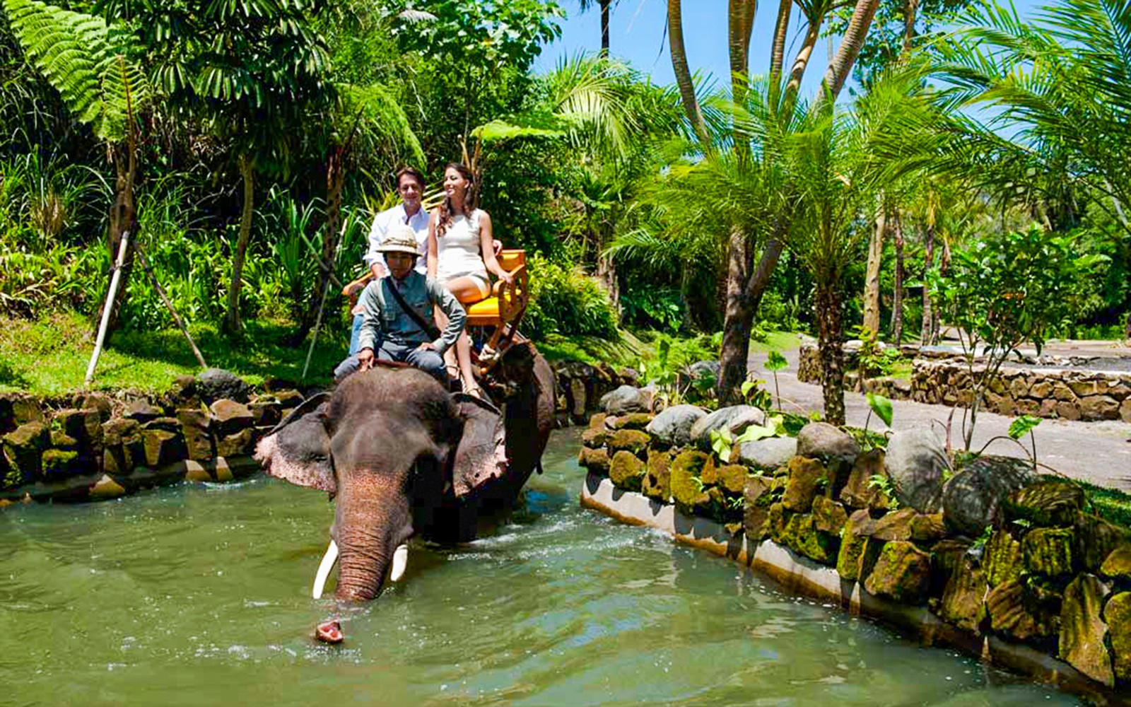 Elephant ride at Bali Zoo amidst tropical greenery.