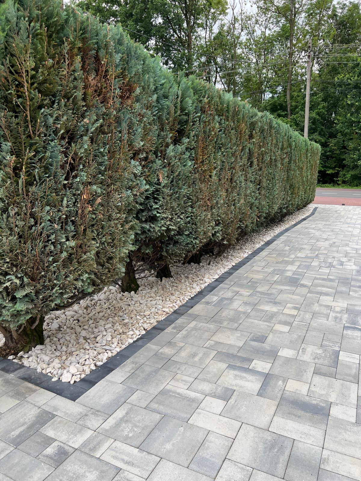 Beautiful landscaped garden with greenery and outdoor design elements.