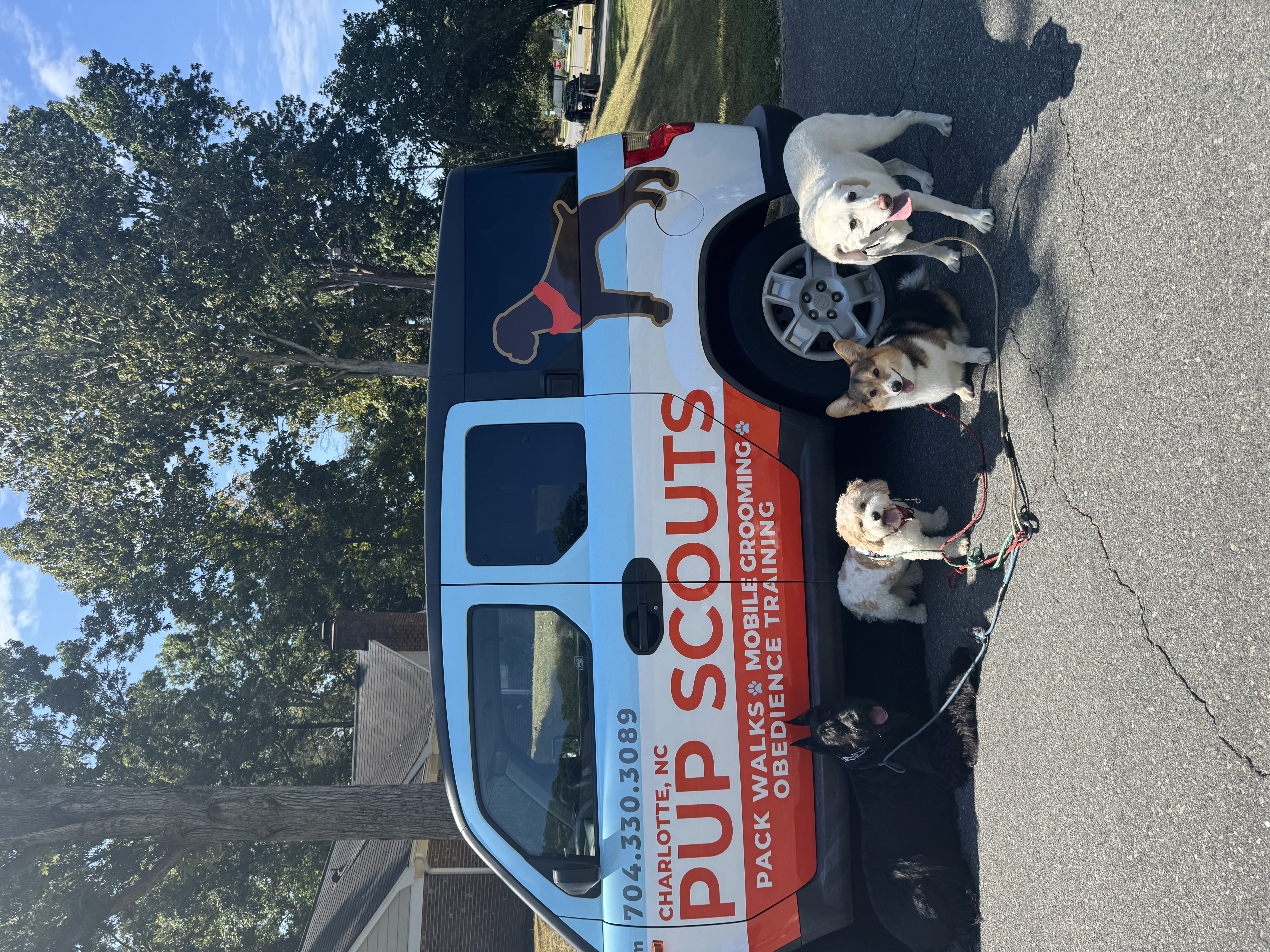 Four dogs on leashes stand together in front of a Pup Scouts mobile grooming van in Charlotte