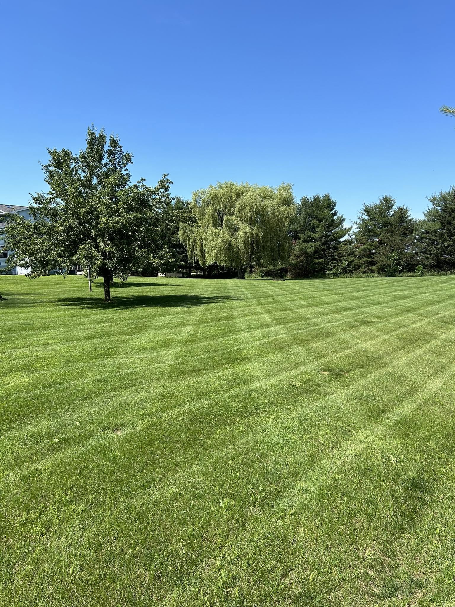 Freshly mowed residential lawn