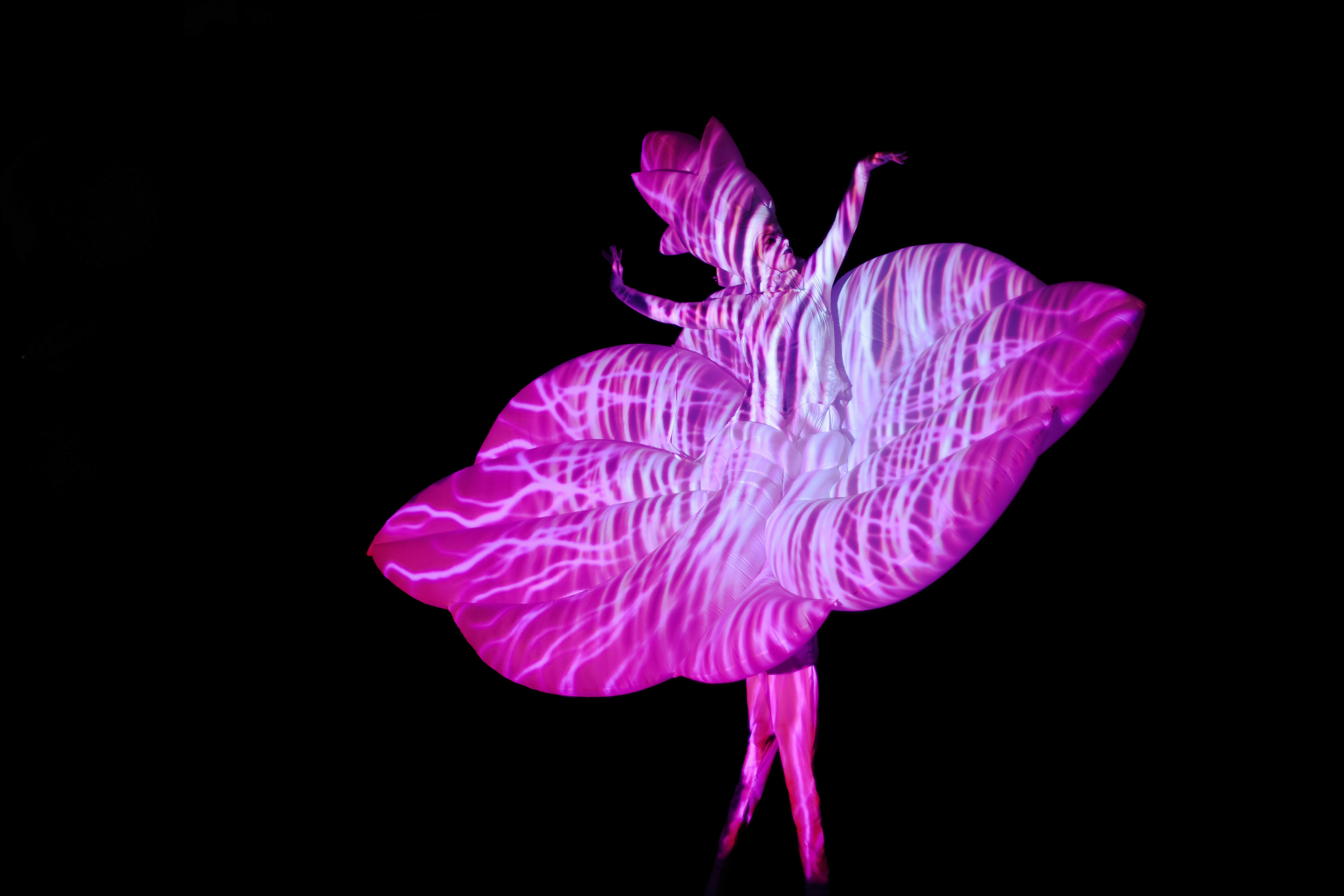 Imago Floris - augmented interactive performance installation