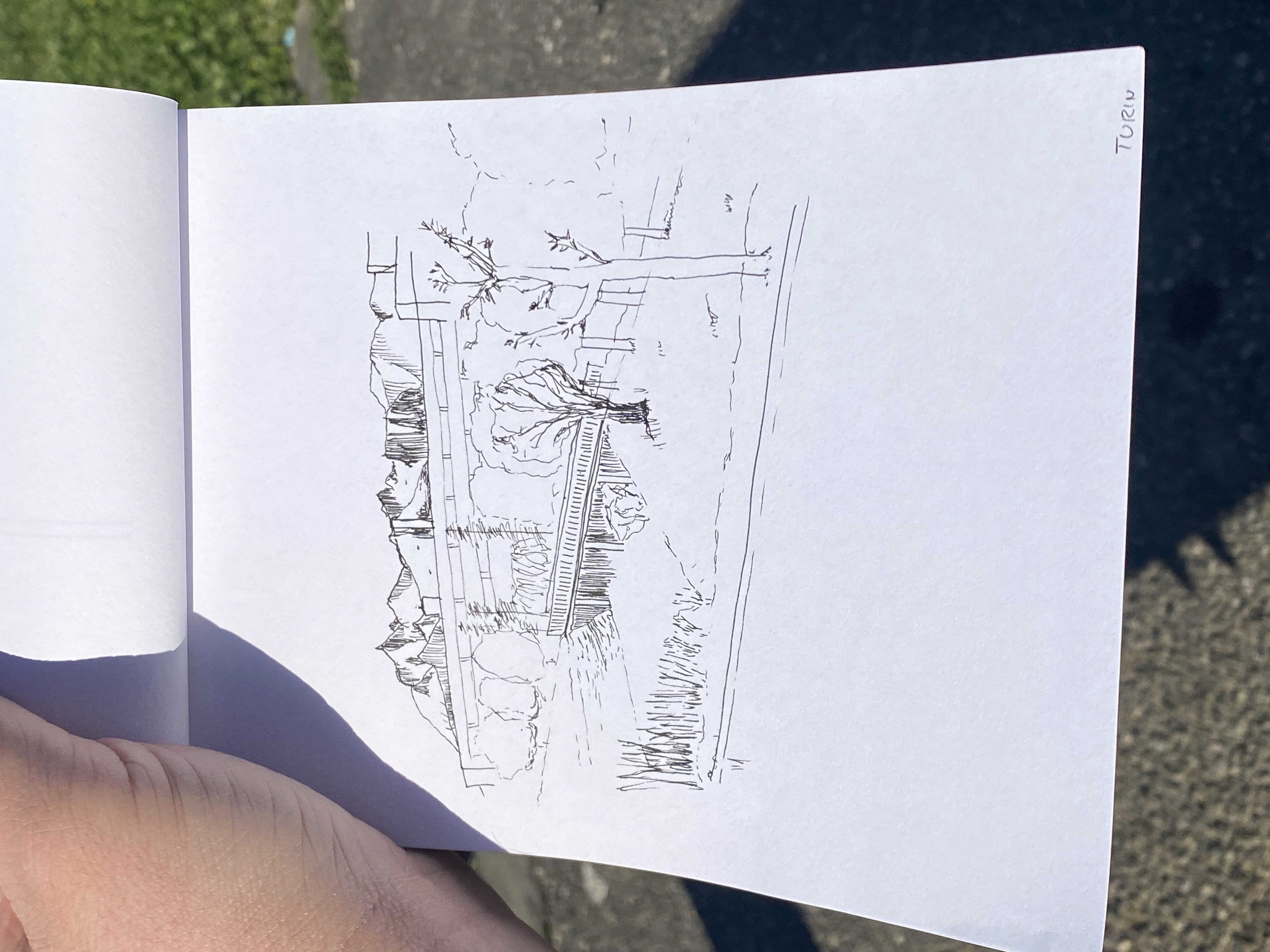 Theo Berry: Watercolor of Joshua Tree landscape