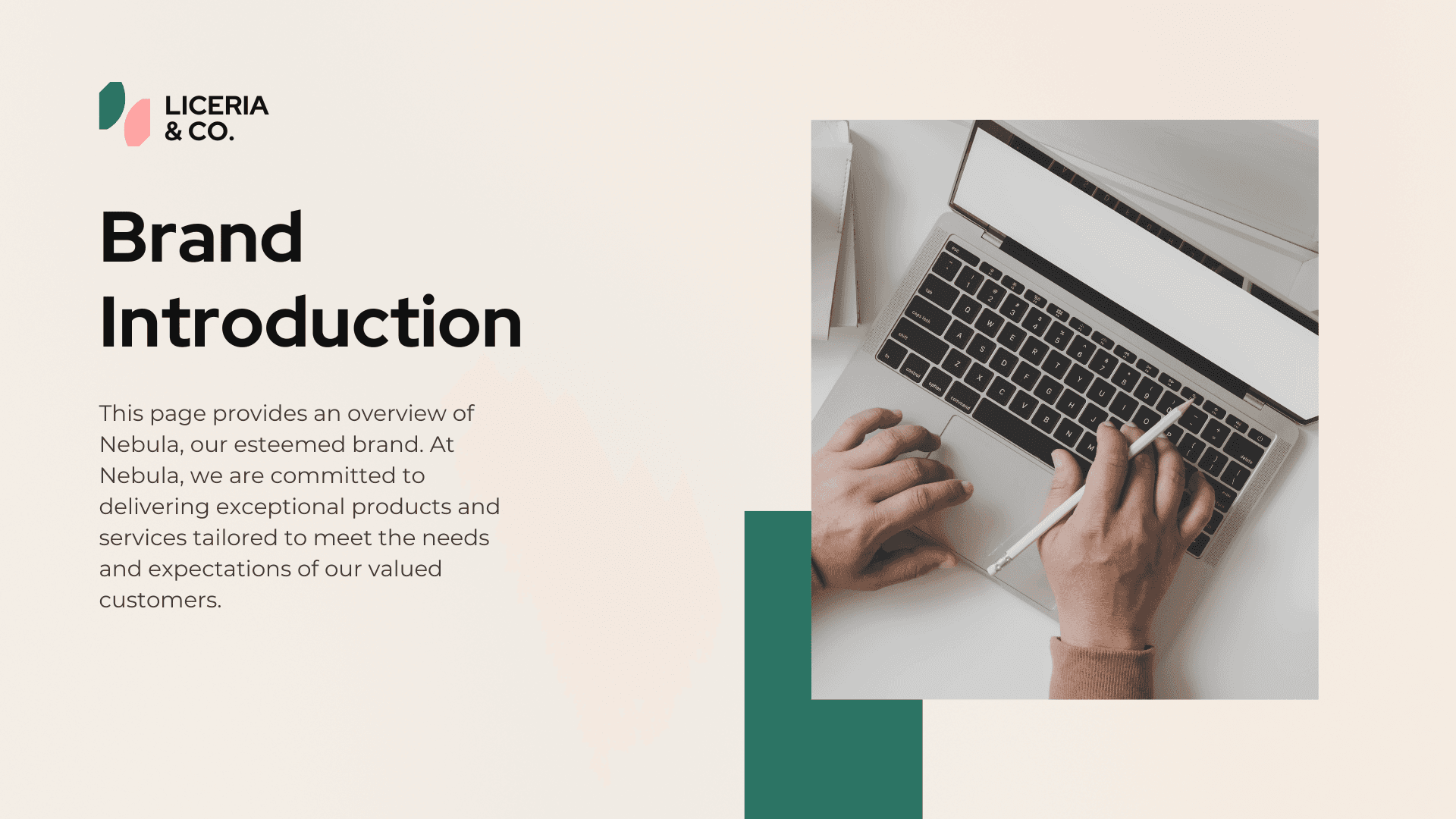 brand guide